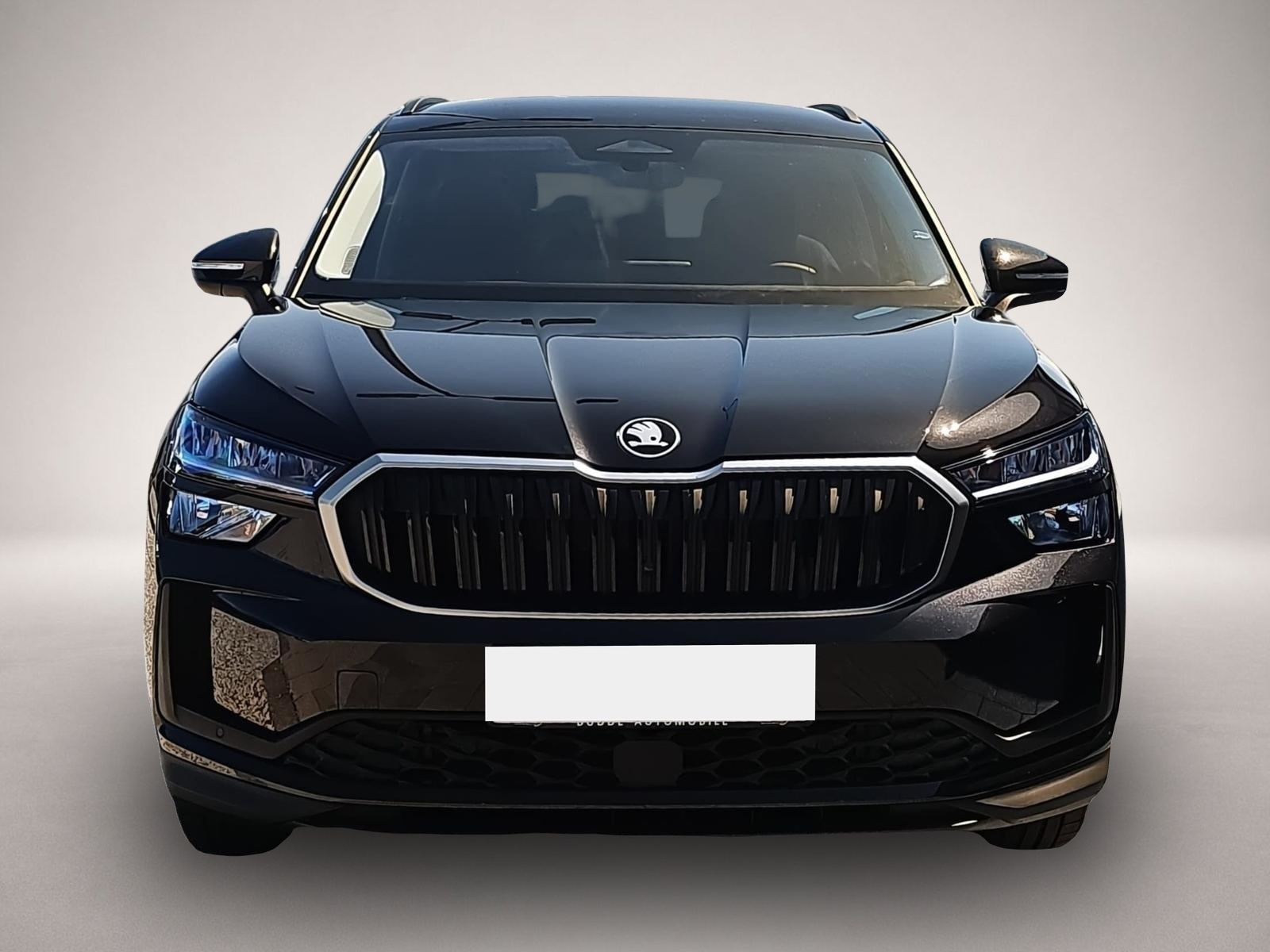Bild 2 Skoda Kodiaq 1.5 TSI DSG Selection 7Si ACC Navi Memory