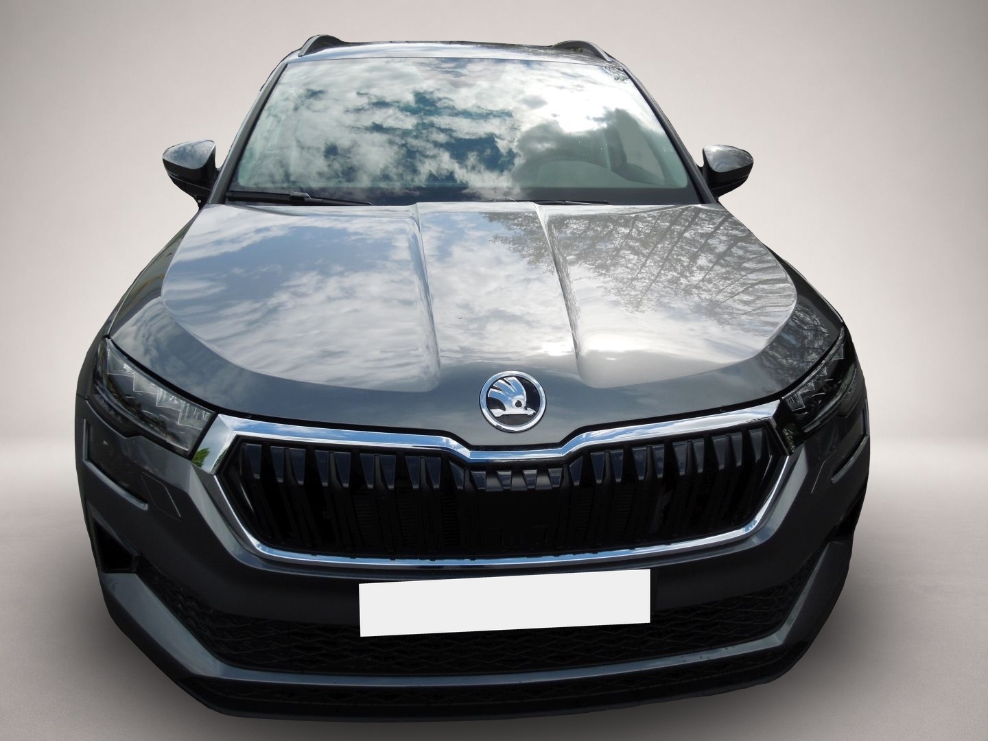 Fotografie 2 des Skoda Karoq 2.0TDI DSG 4x4 Selection/LED/AHK/Navi/Sitz