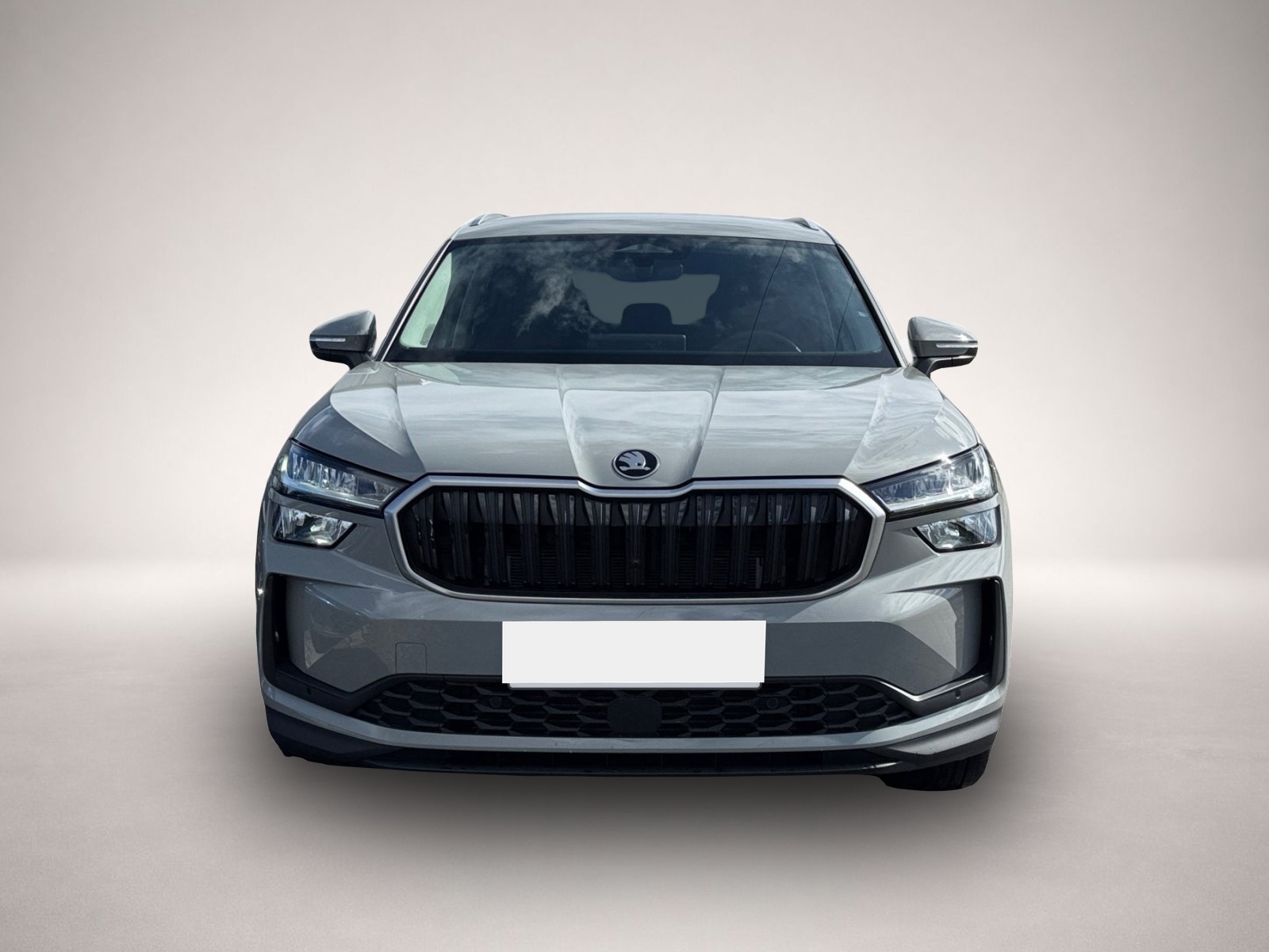 Bild Kodiaq Skoda