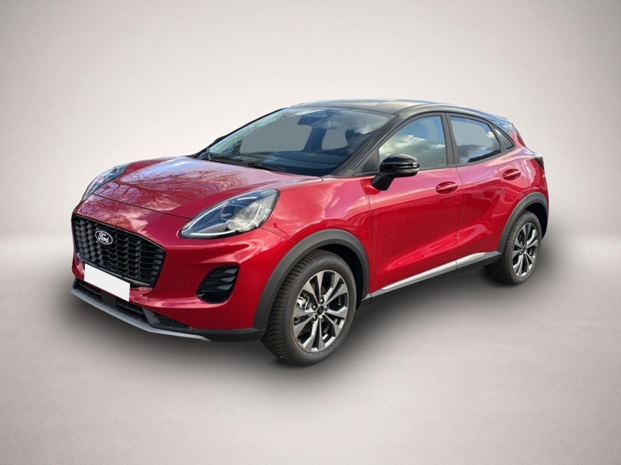 Bild Puma Ford