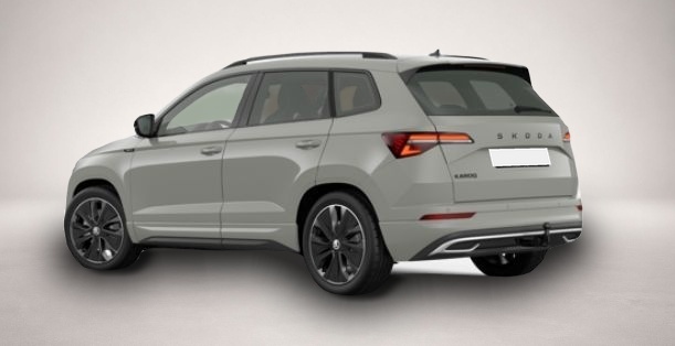 Bild 3 Skoda Karoq 2.0 TSI 7-Gang-DSG 4x4
