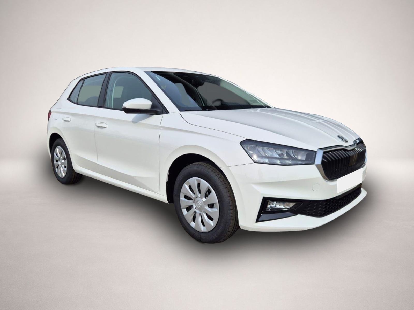 Bild 7 Skoda Fabia 1.0 TSI 95PS Selection 5-türig Rückf.Kame