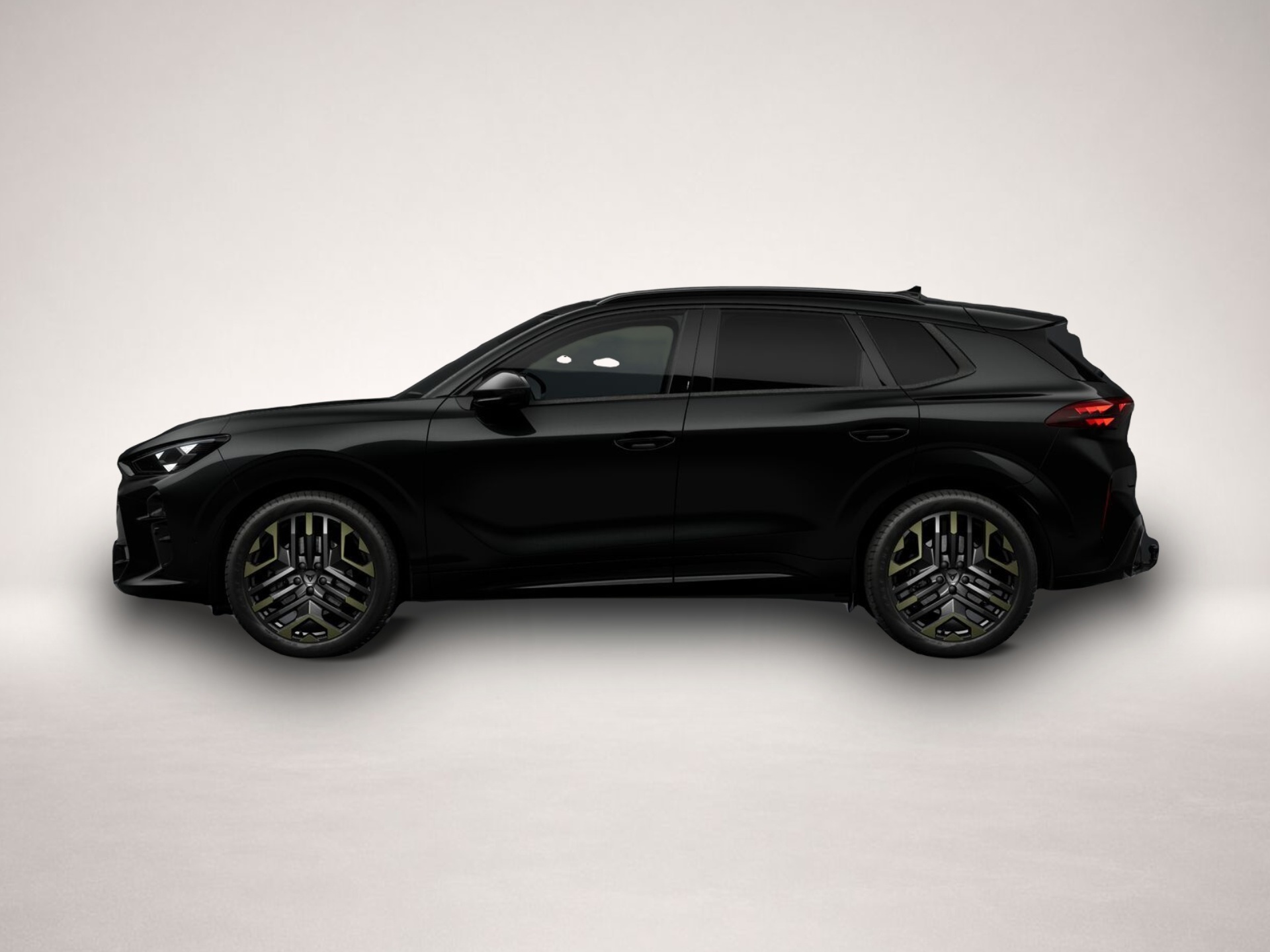 Bild 2 Cupra Terramar 2.0 TSI 7-Gang-DSG 4Drive