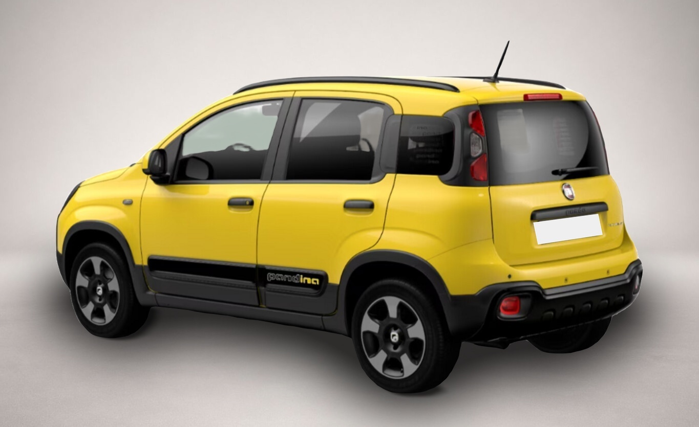 Bild 3 Fiat Panda Cross 5S PDC CarP/AndroidA PrivG 15Z NSW