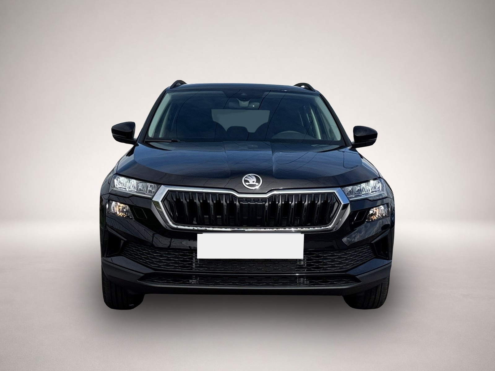 Bild 2 Skoda Karoq Selection TSI DSG|NAVI|AHK|PANO|SHZ