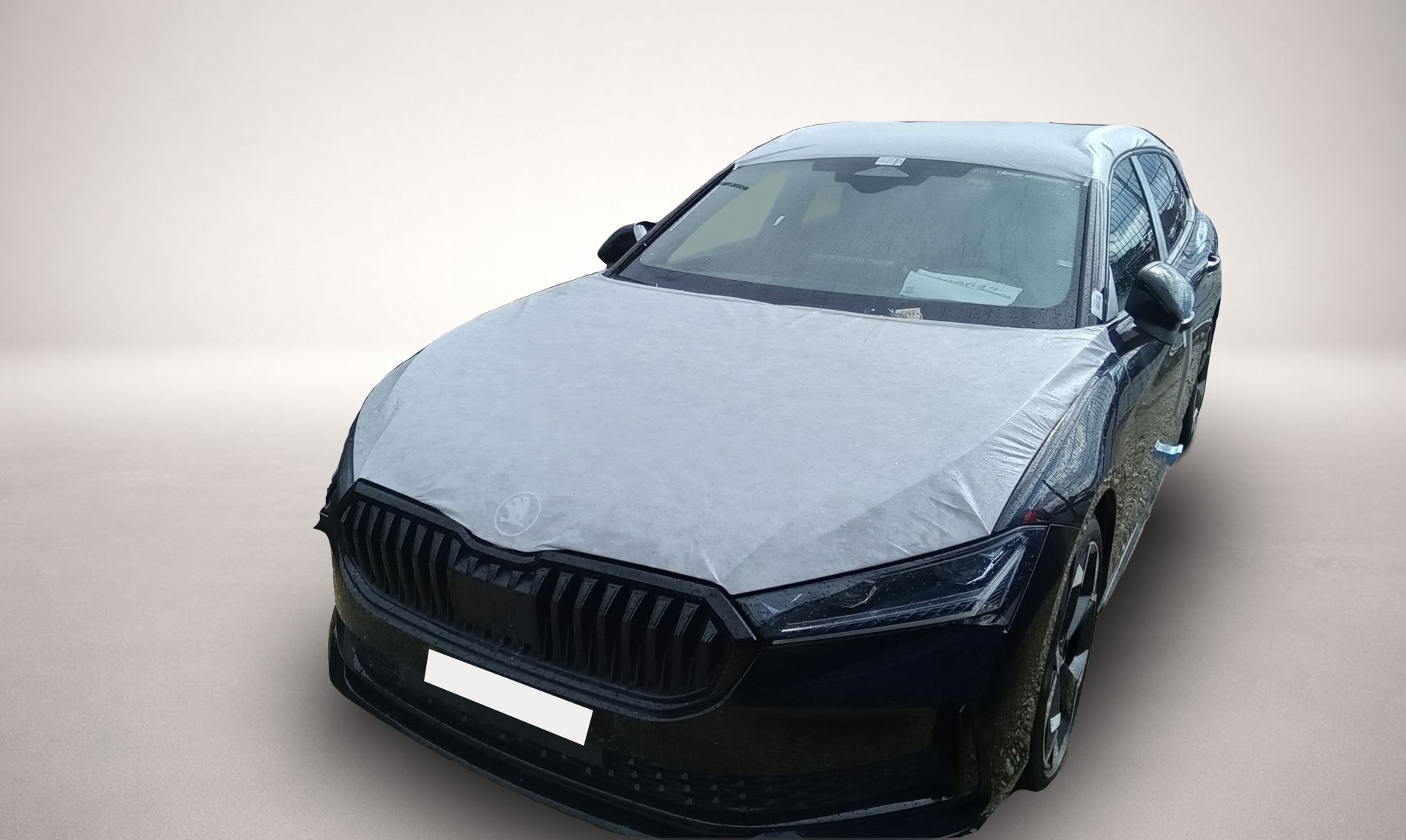 Fotografie Skoda Superb Skoda Combi Sportline 2.0 TDI 142 kW (193