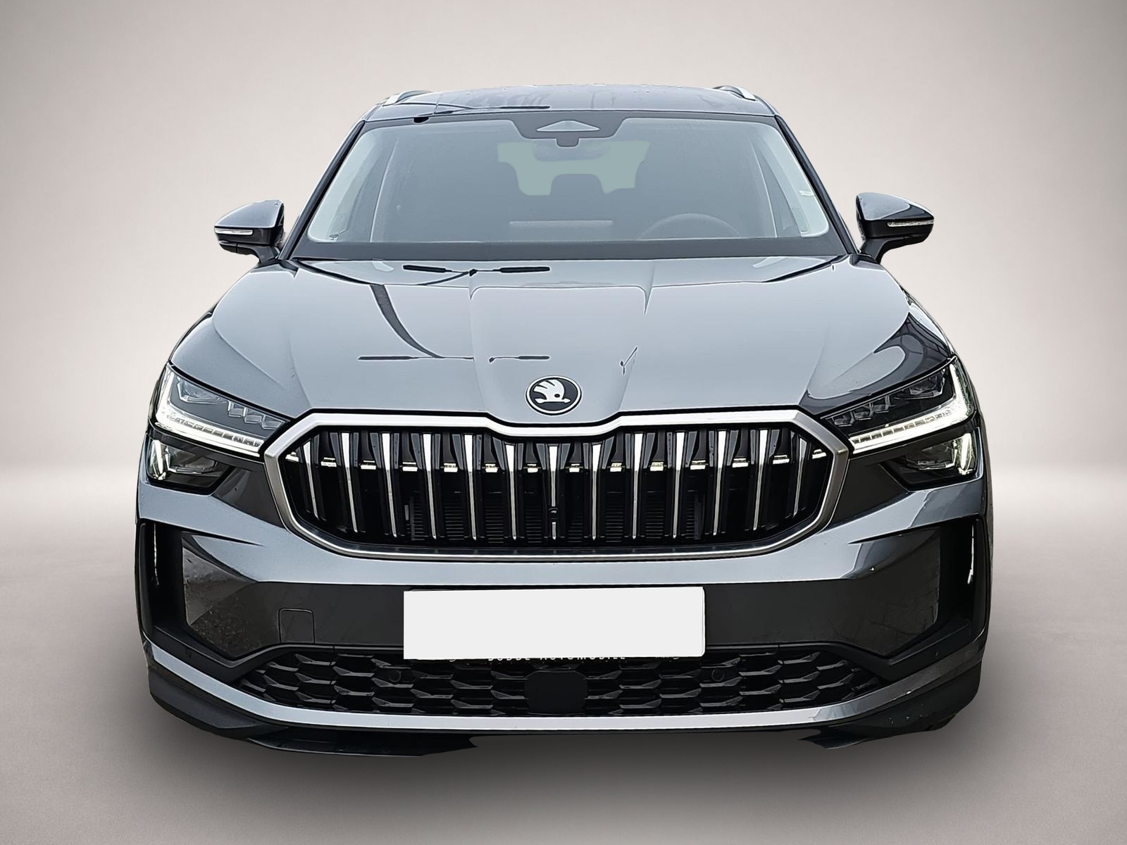Bild 2 Skoda Kodiaq 2.0 TDI DSG Selection 7-Si. Matrix 4J.Gar