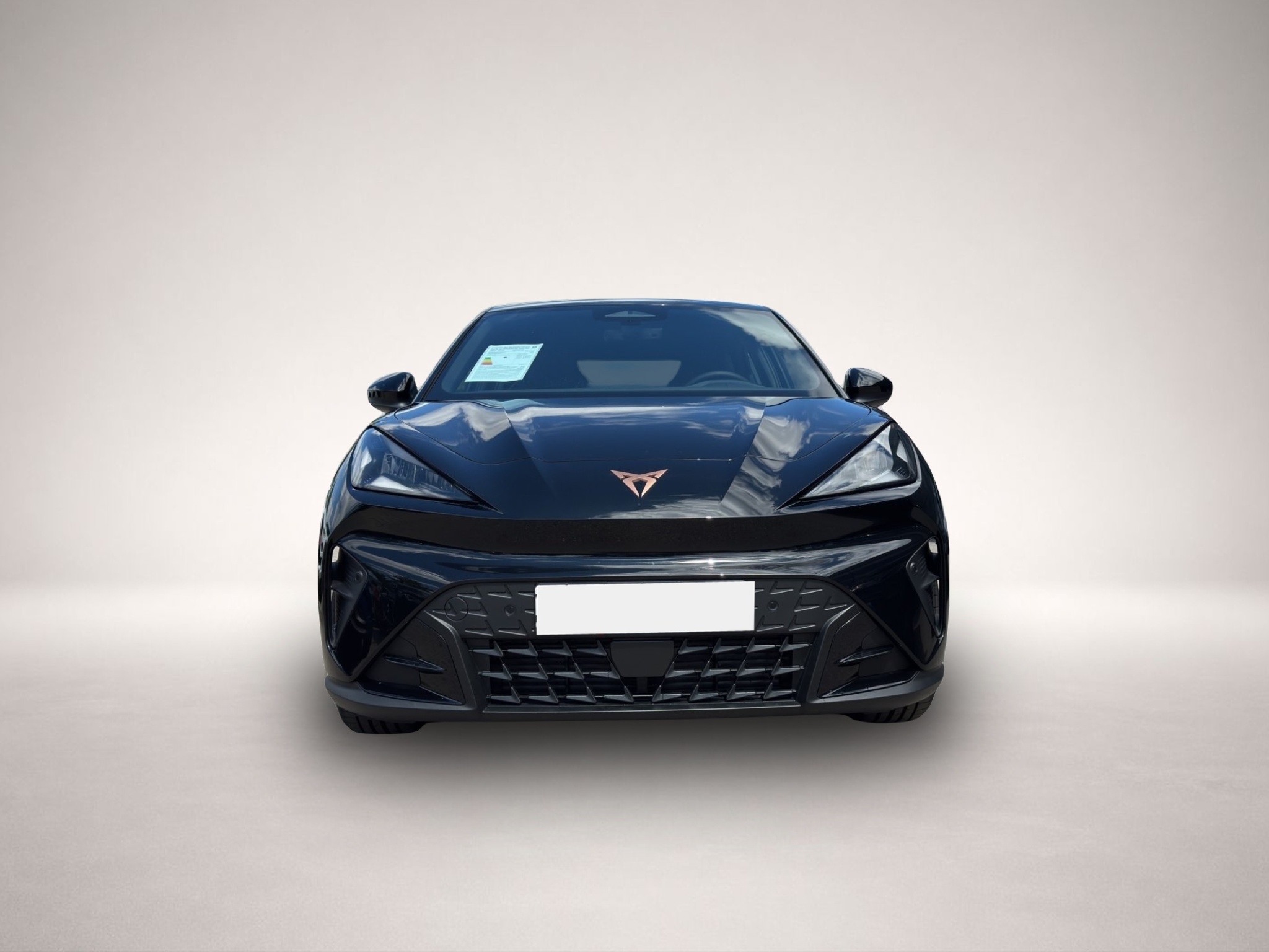 Fotografie 2 des Cupra Raval Endurance Edition Dynamic 52 kWh