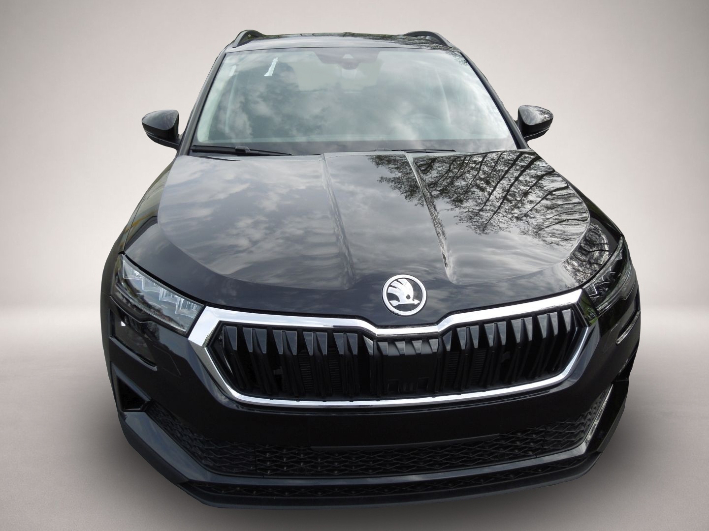 Bild 2 Skoda Karoq 2.0TDI DSG 4x4 Selection/LED/AHK/Navi/Sitz