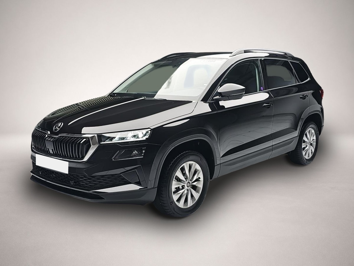 Bild Karoq Skoda