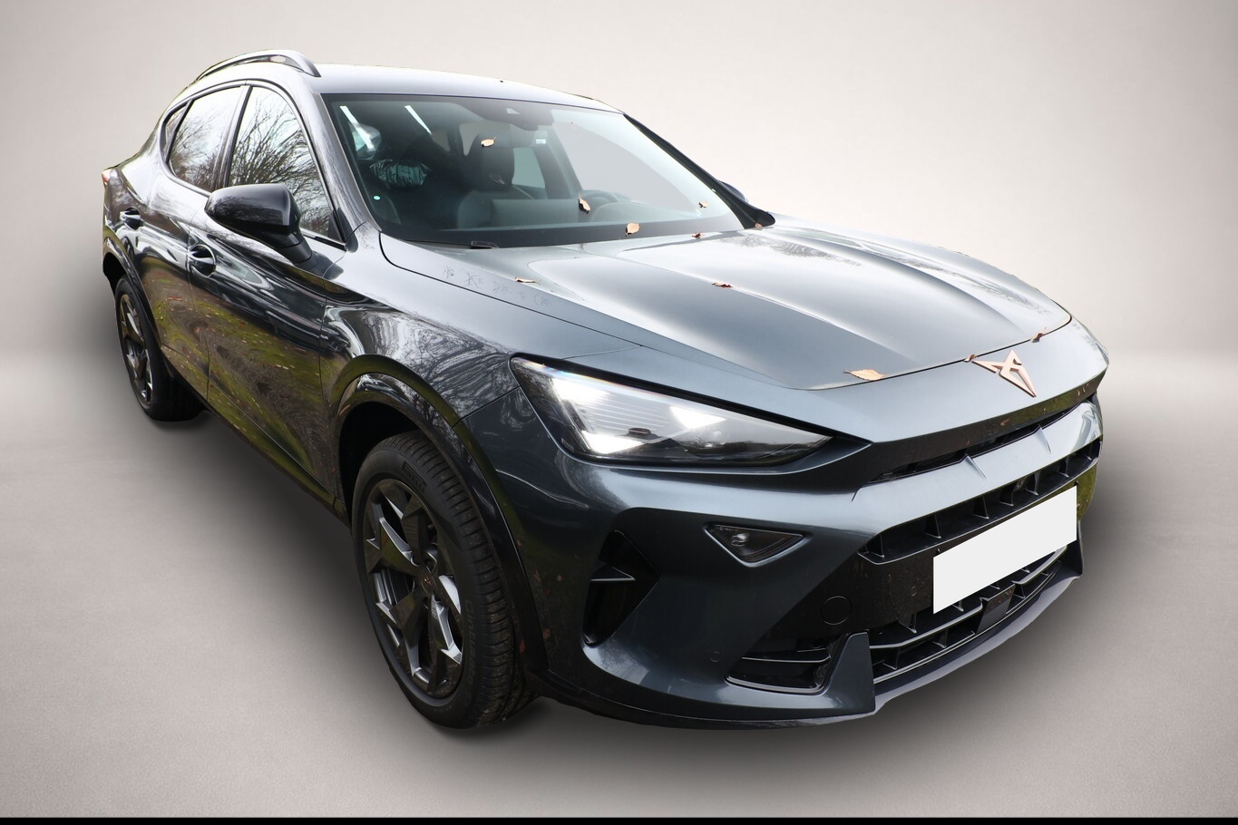 Fotografie 2 des Cupra Formentor eTSI DSG EdgeP SHZ eHK Kessy Kam 3ZCli
