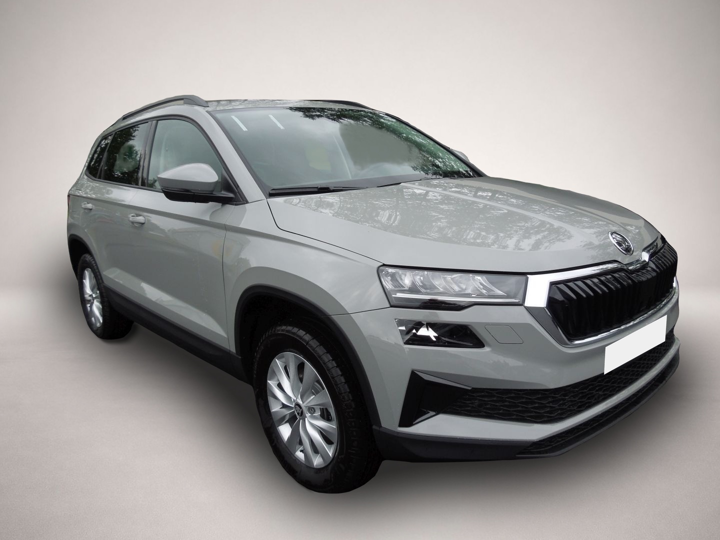 Karoq Skoda