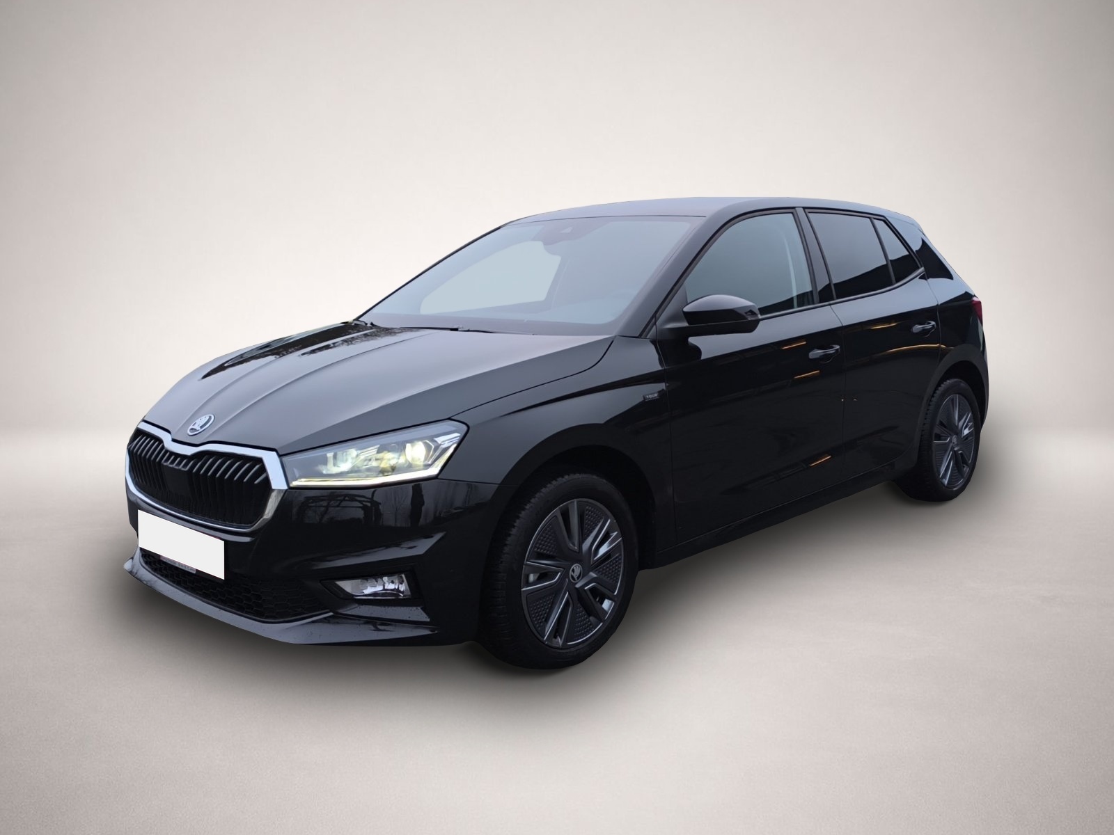 Fotografie 1 des Skoda Fabia 1.5 TSI DSG Tour NAVI AHK ACC PDC RFK SMAR
