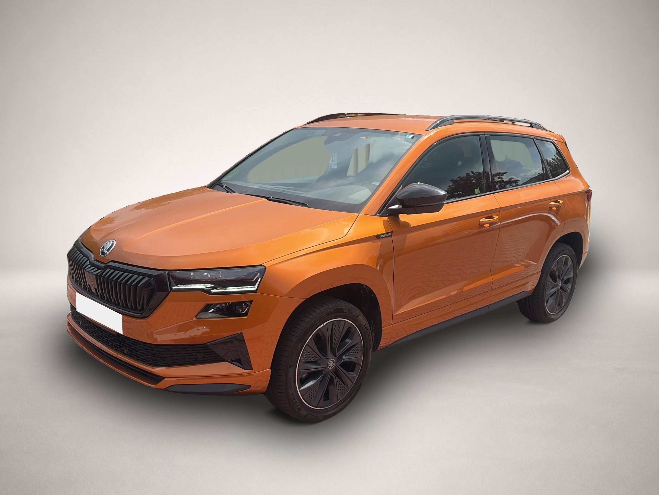 Karoq Skoda