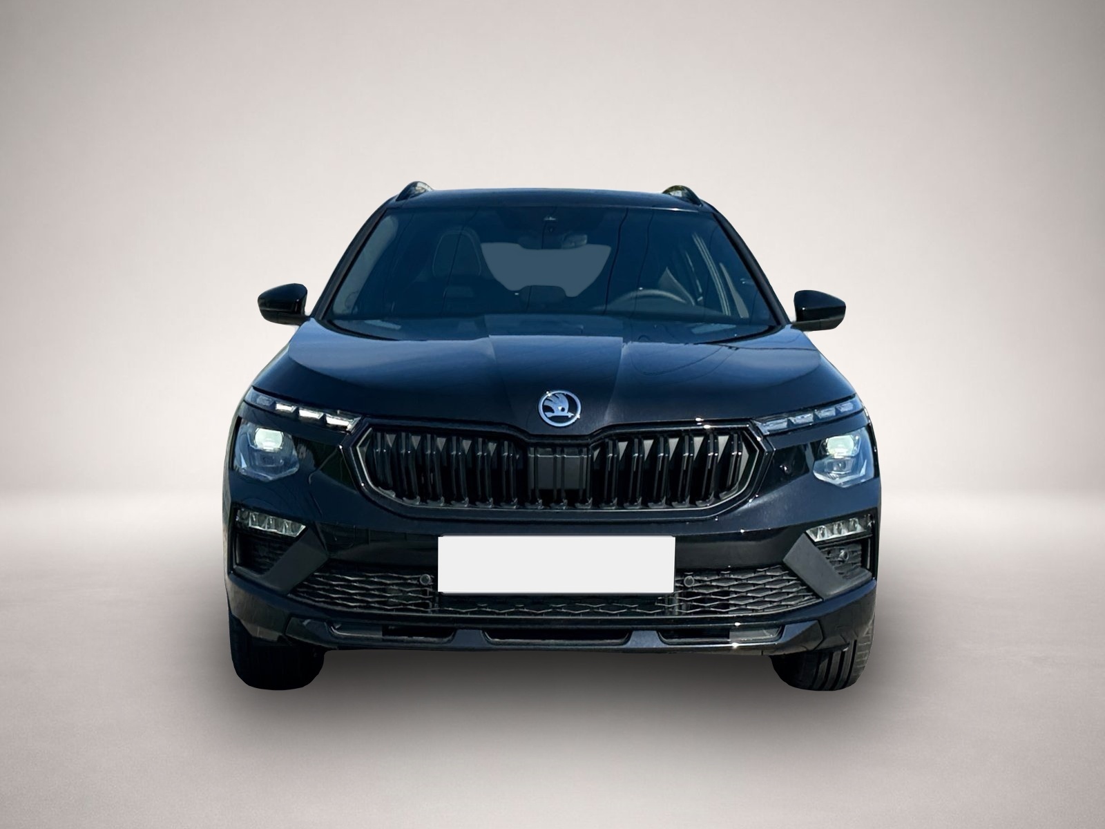 Fotografie des Skoda Kamiq Monte Carlo TSI DSG|MATRIX|AHK|SHZ|KAM