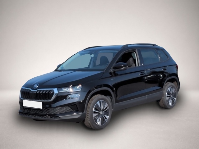 Bild Karoq Skoda