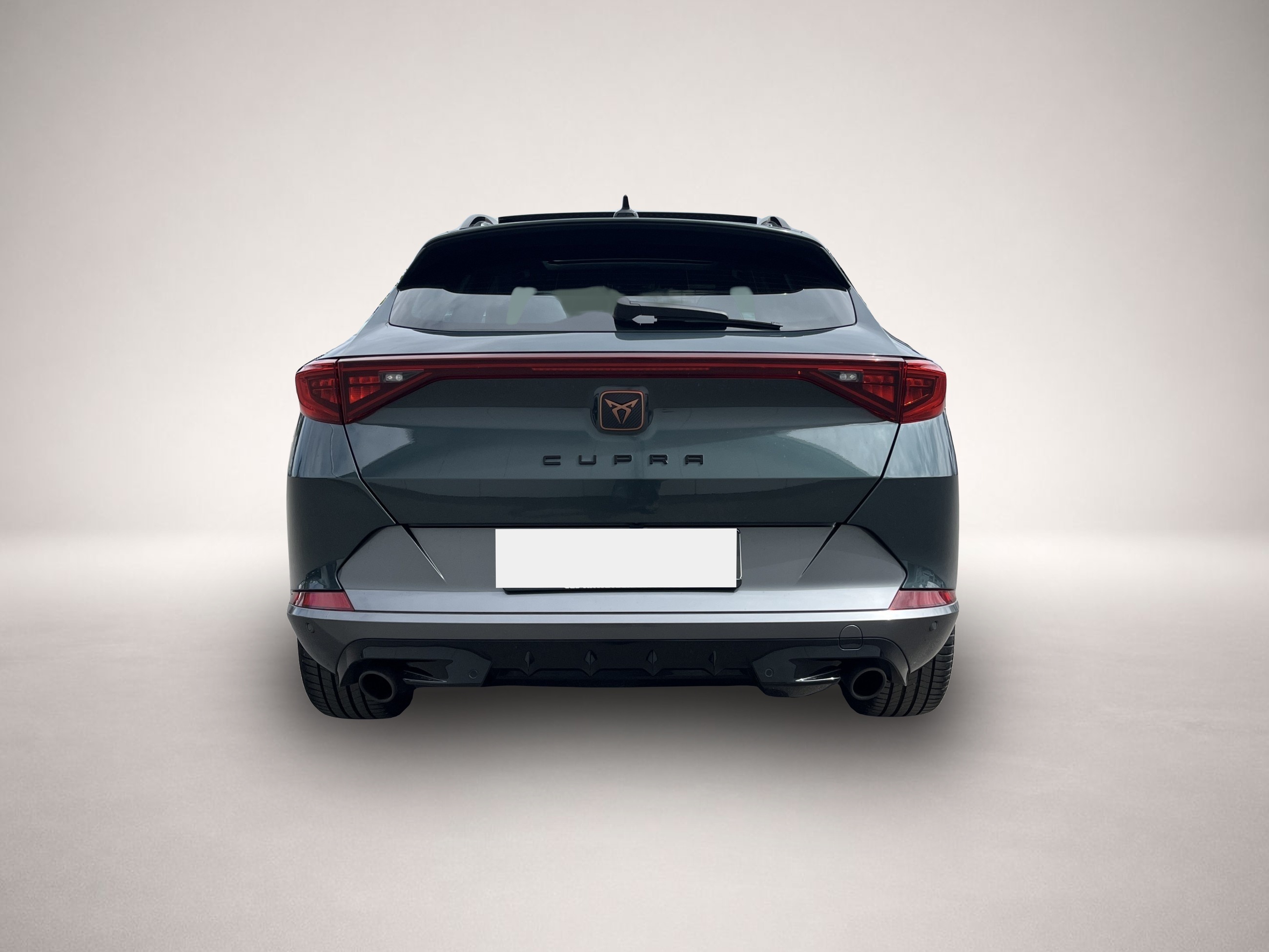 Bild 7 Cupra Formentor 2.0 TSI DSG VZ AHK PANO Navi LR-HZG RF
