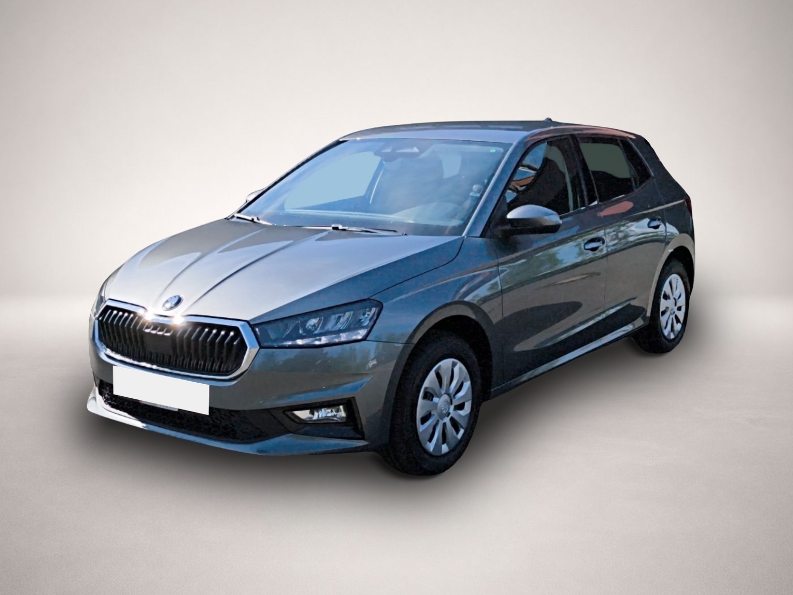Fotografie Skoda Fabia 1.0 TSI DSG Selection PDC SHZ LHZ LED