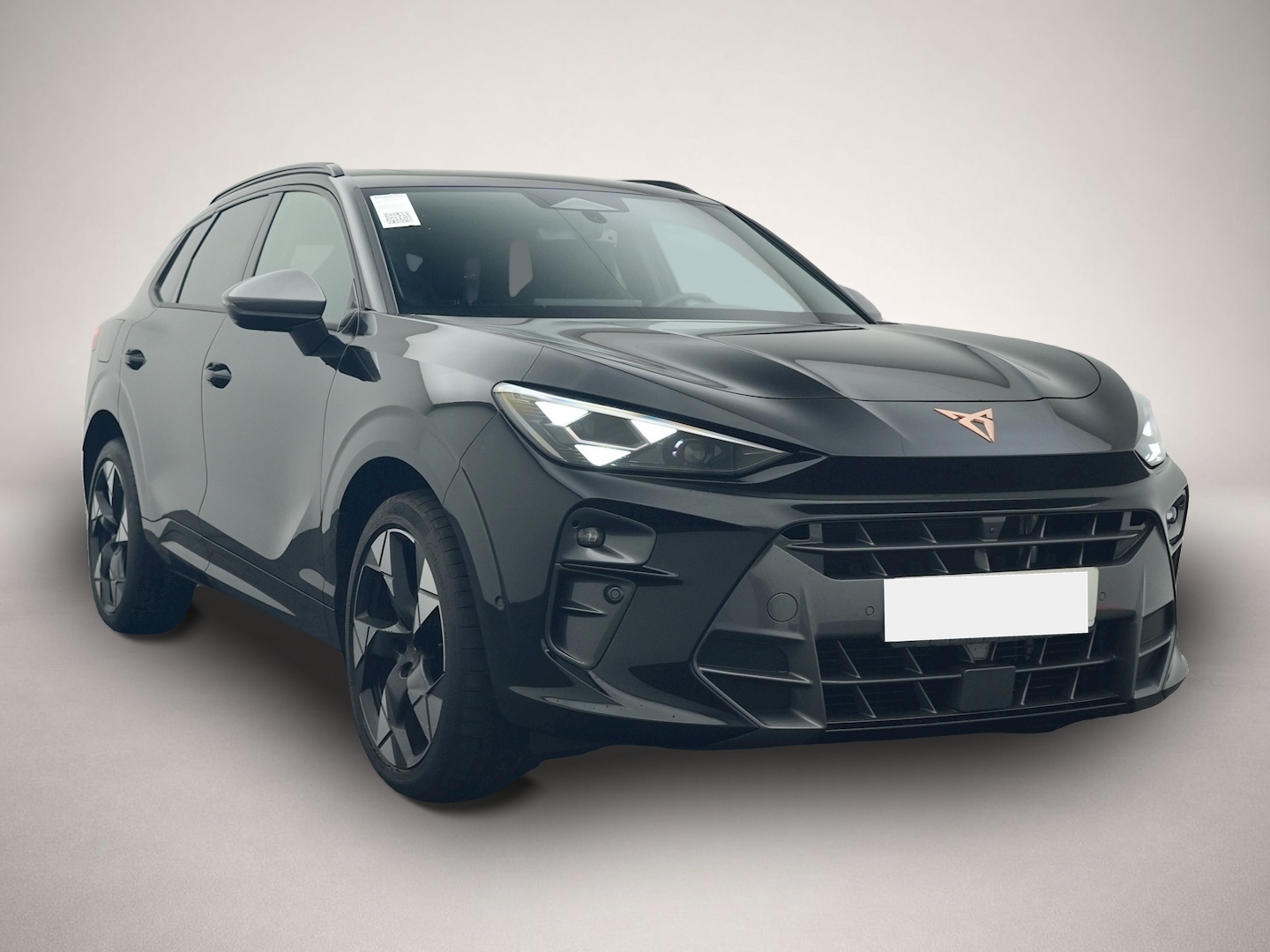 Bild 7 Cupra Terramar 2.0 TSI DSG 4Dr. VZ 5.-J.-GAR PANO AHK