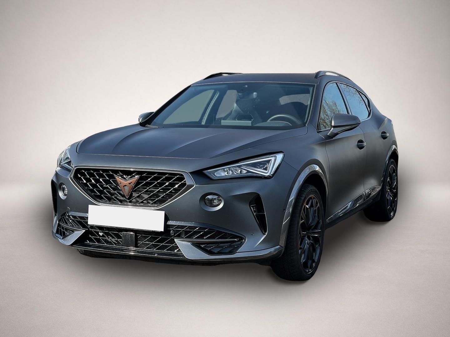 Bild 1 Cupra Formentor VZ 4Drive 2.0 TSI 310PS Beats Audio Sy