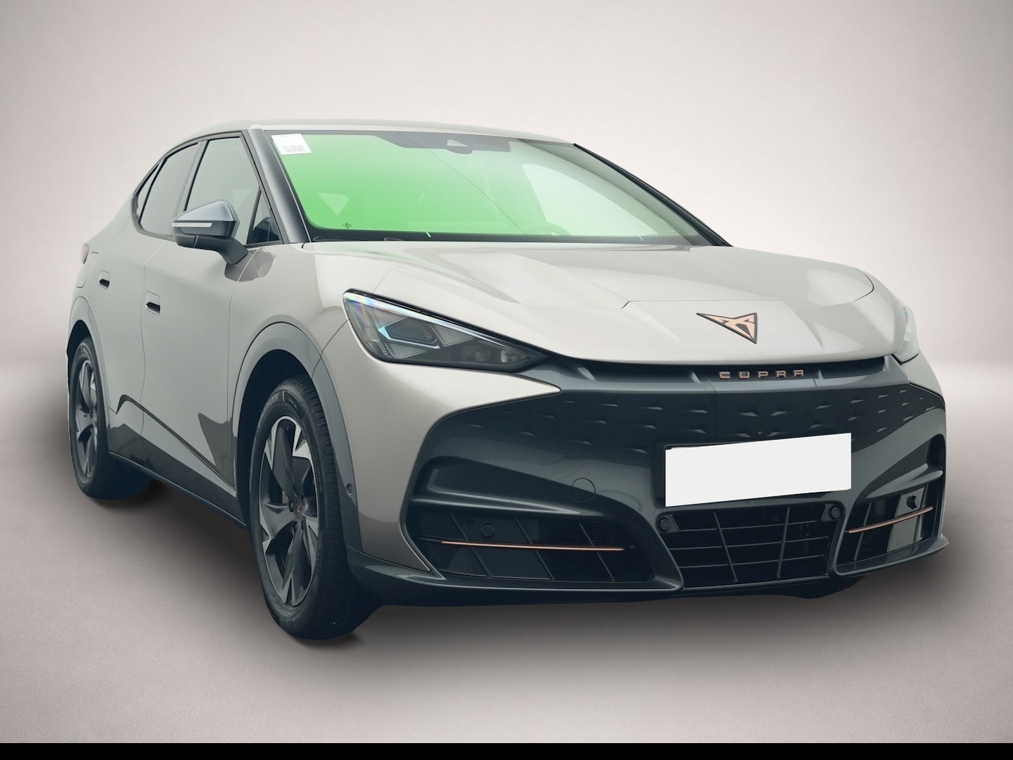 Bild 7 Cupra Tavascan Endurance ALCANTARA WÄPU 360 NAVI