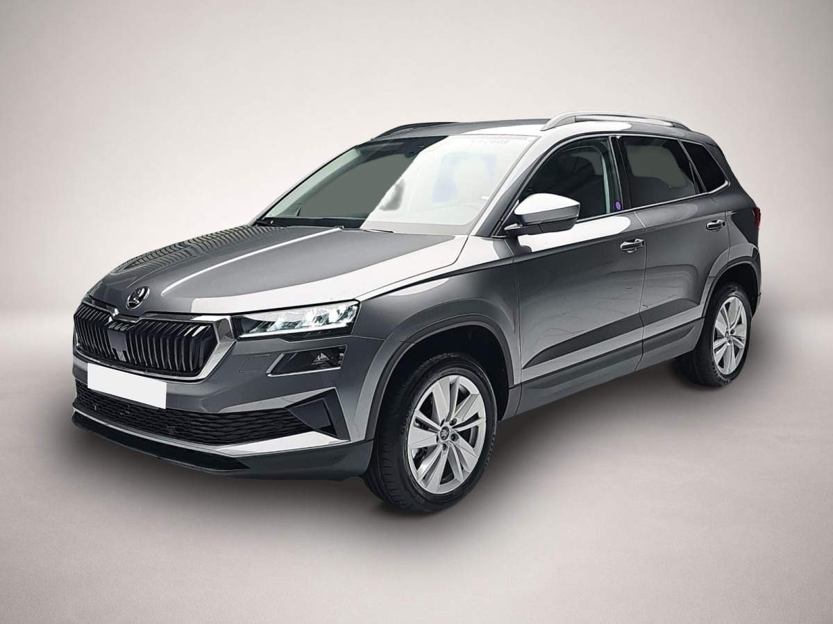 Bild Karoq Skoda