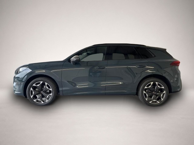 Bild 3 Cupra Terramar 1.5 eTSI DSG Matrix+Kessy+AHK+eHeck+Di.
