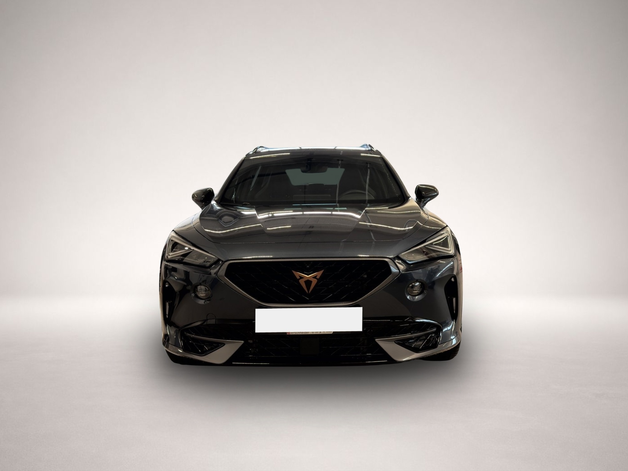 Bild 2 Cupra Formentor 2.0 TSI DSG 4Drive VZ Akropovic+LEDER+