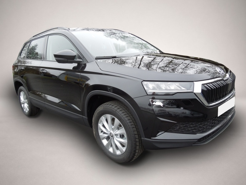 Bild Karoq Skoda