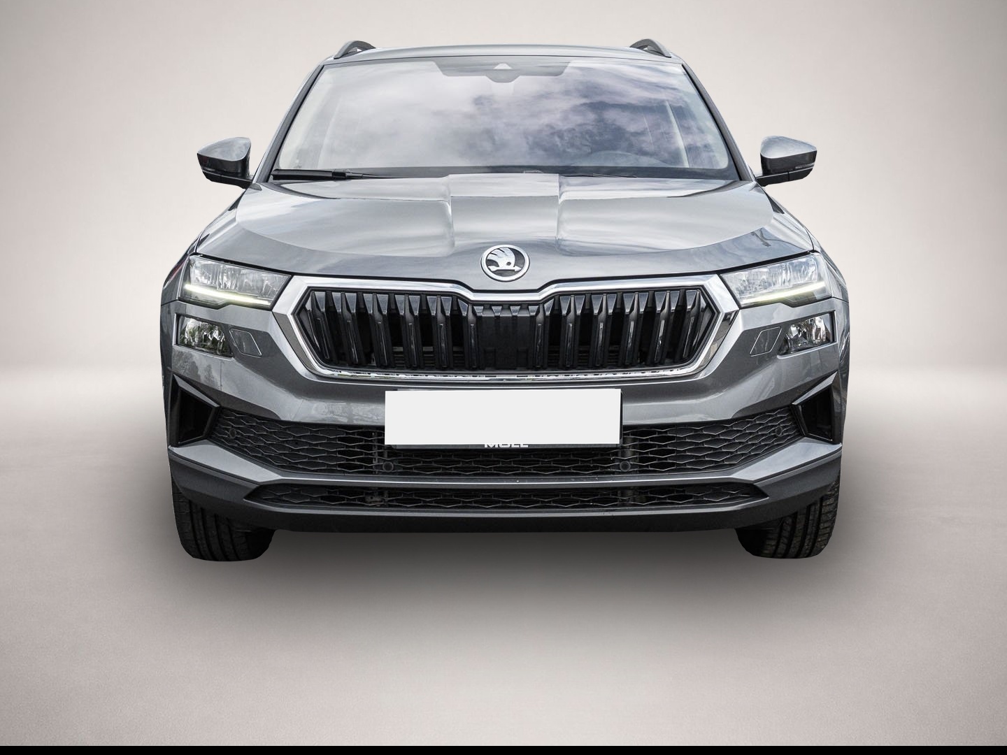 Bild 2 Skoda Karoq 1.5 TSI DSG Ambition Tour