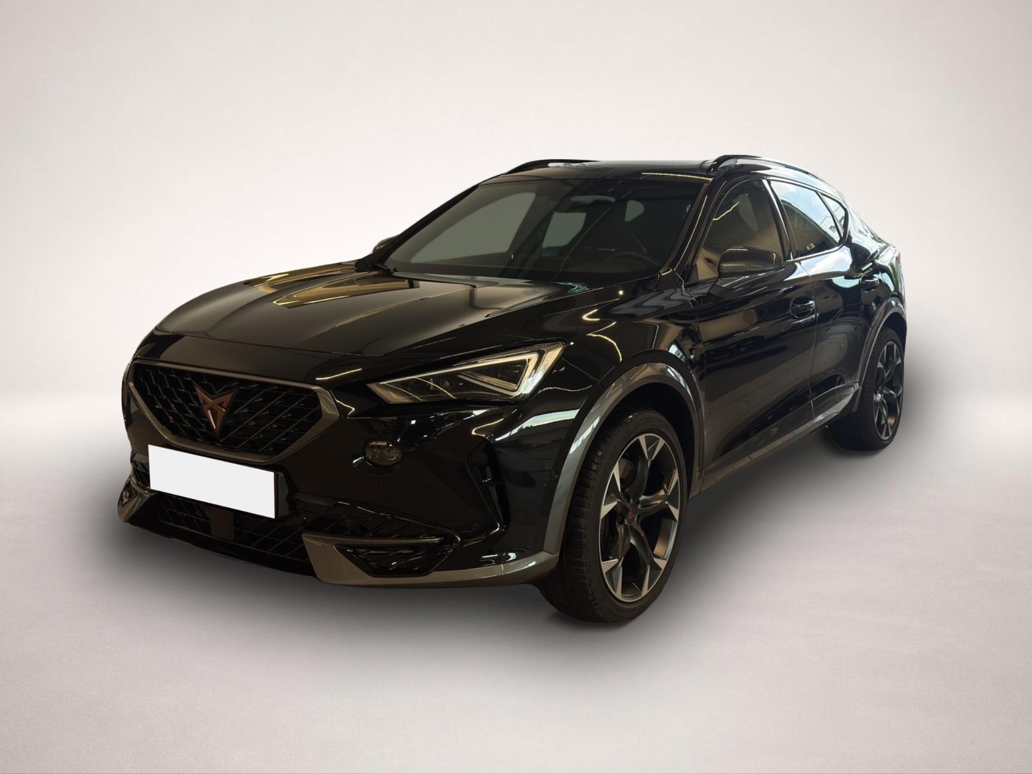 Fotografie Cupra Formentor 2.0 TSI DSG 4Drive VZ MATRIX-LED PANO