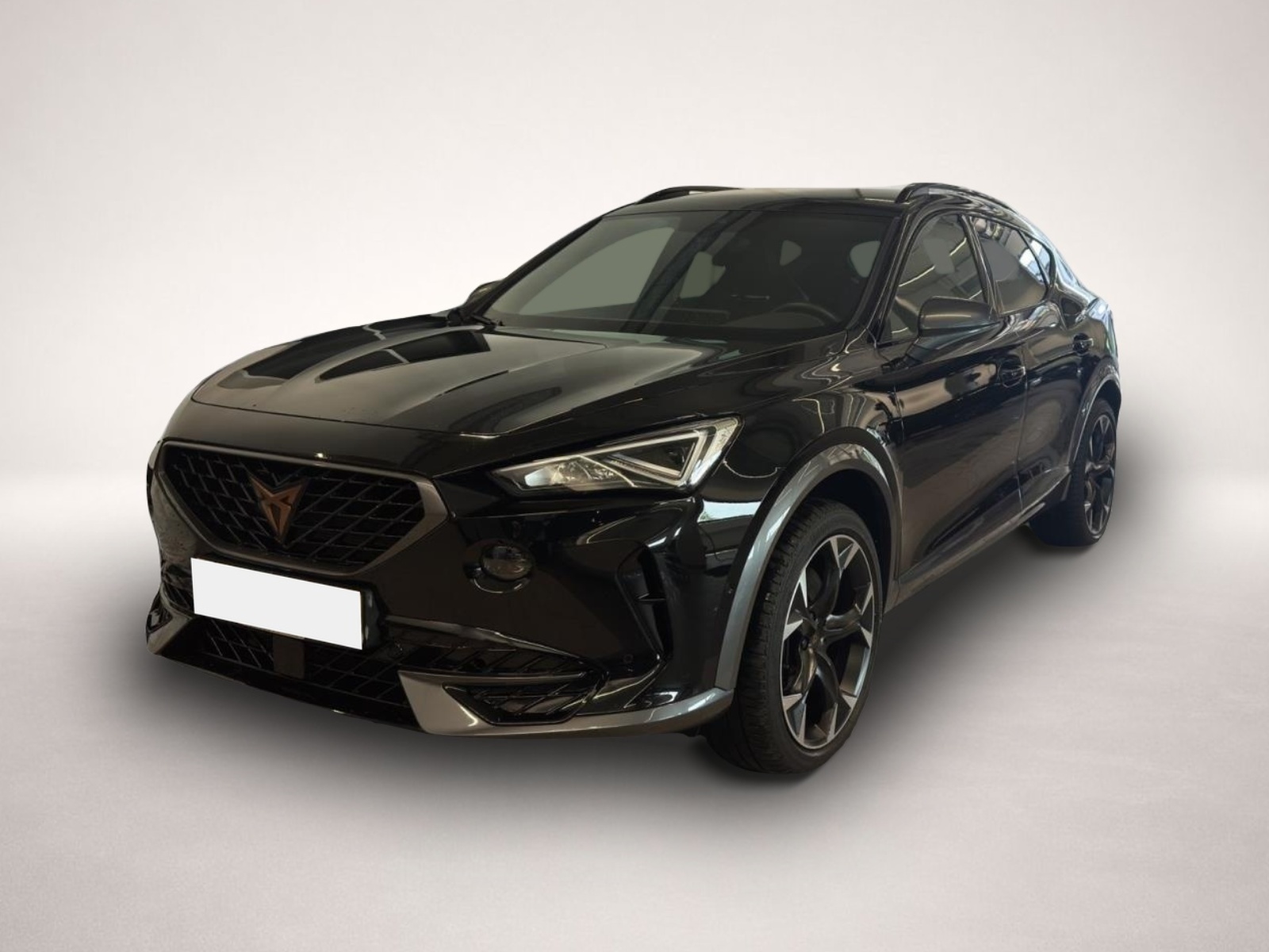 Fotografie Cupra Formentor 2.0 TSI DSG 4Drive VZ LED NAVI ACC PAR