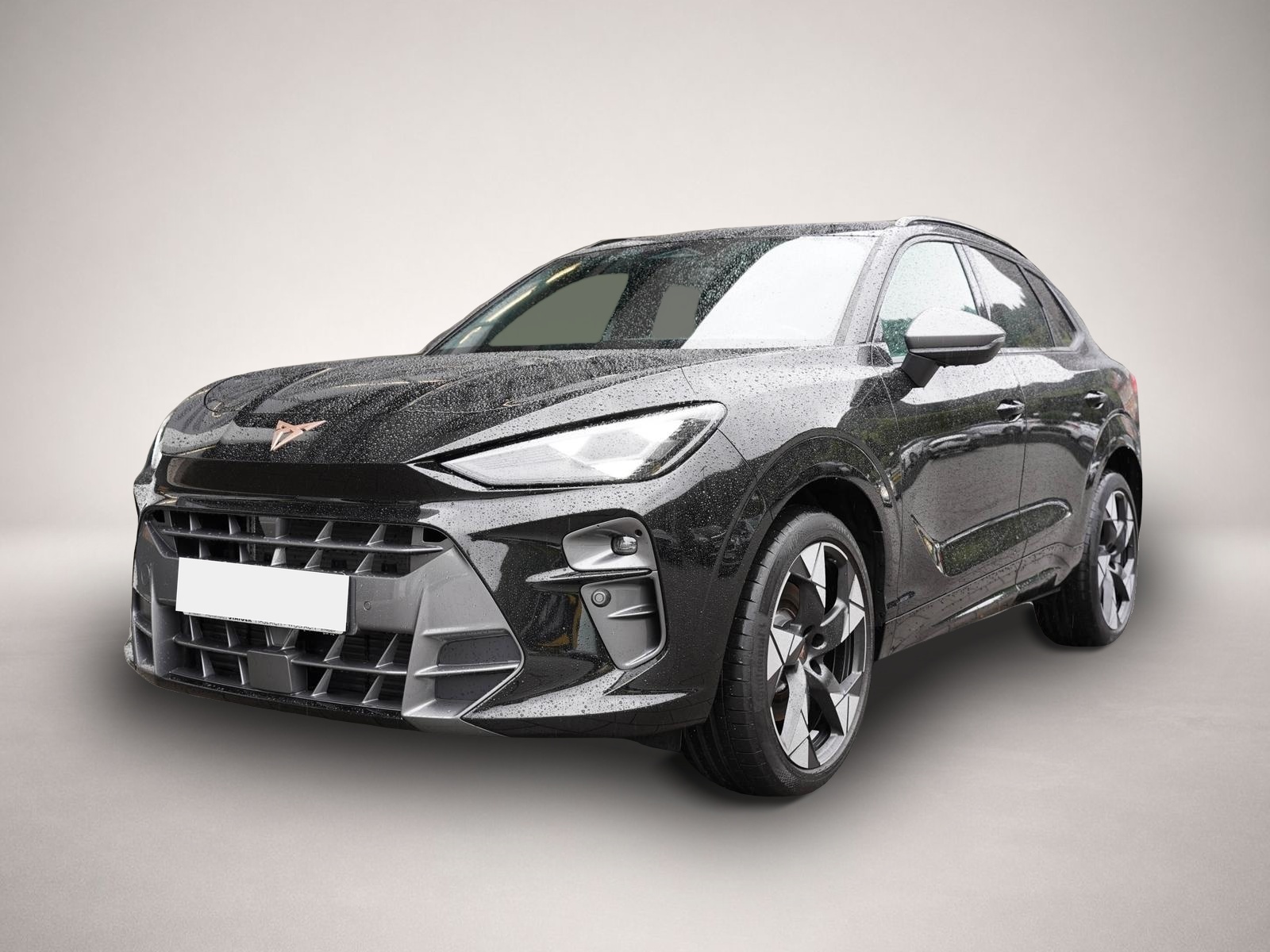 Fotografie Cupra Terramar VZ 2.0TSI 4x4+Pano mtl. ab 349€*