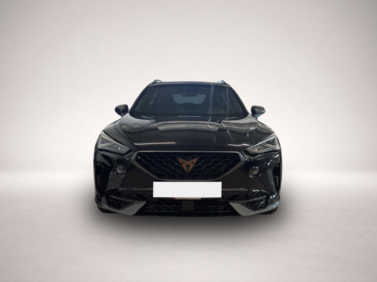 Bild 2 Cupra Formentor 2.0 TSI DSG 4Drive VZ LED NAVI ACC PAR