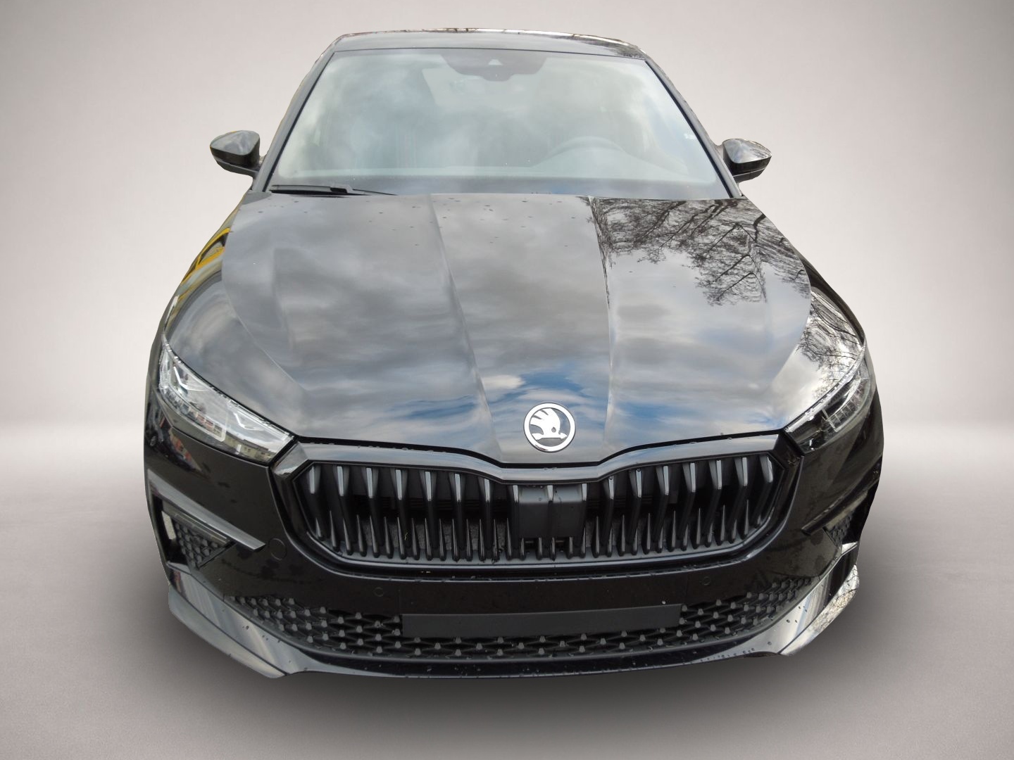 Fotografie 2 des Skoda Scala 1.5TSI Monte-Carlo/Matrix/Navi/Sitzheizung