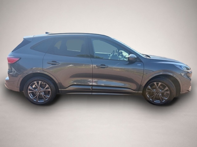 Bild 3 Ford Kuga ST-Line X Navi Pano AHK ACC B&O 360° Winter
