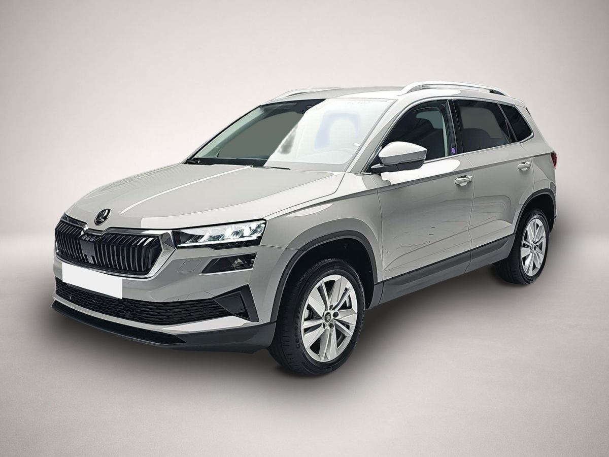 Karoq Skoda