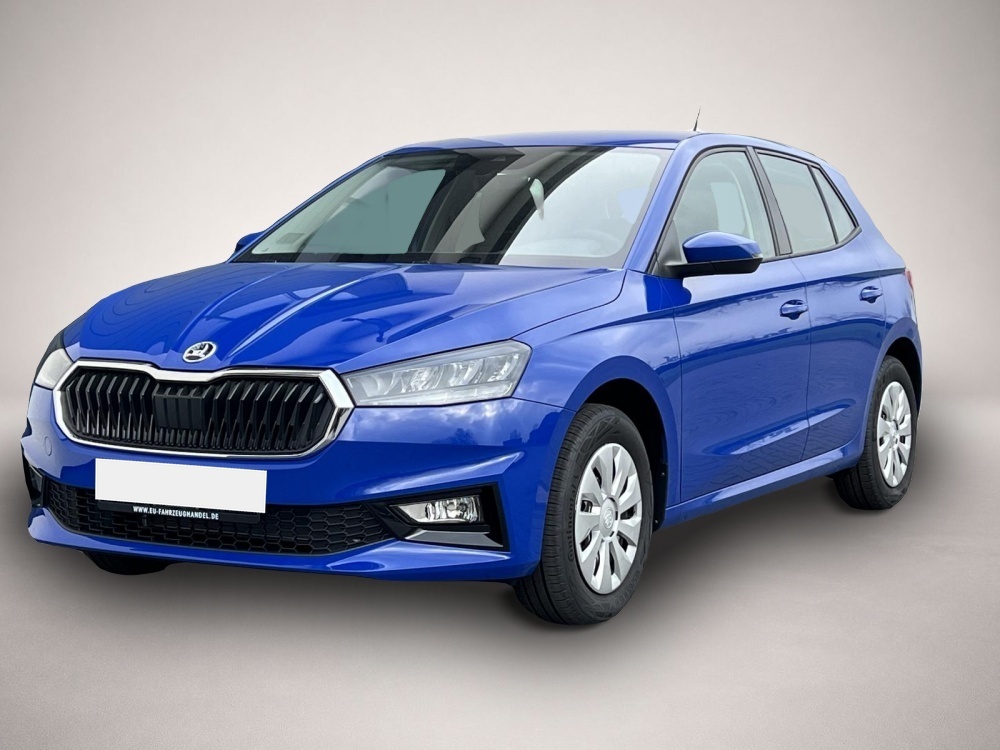Fotografie Skoda Fabia Selection Plus 1,0 TSI DSG 85KW Winter