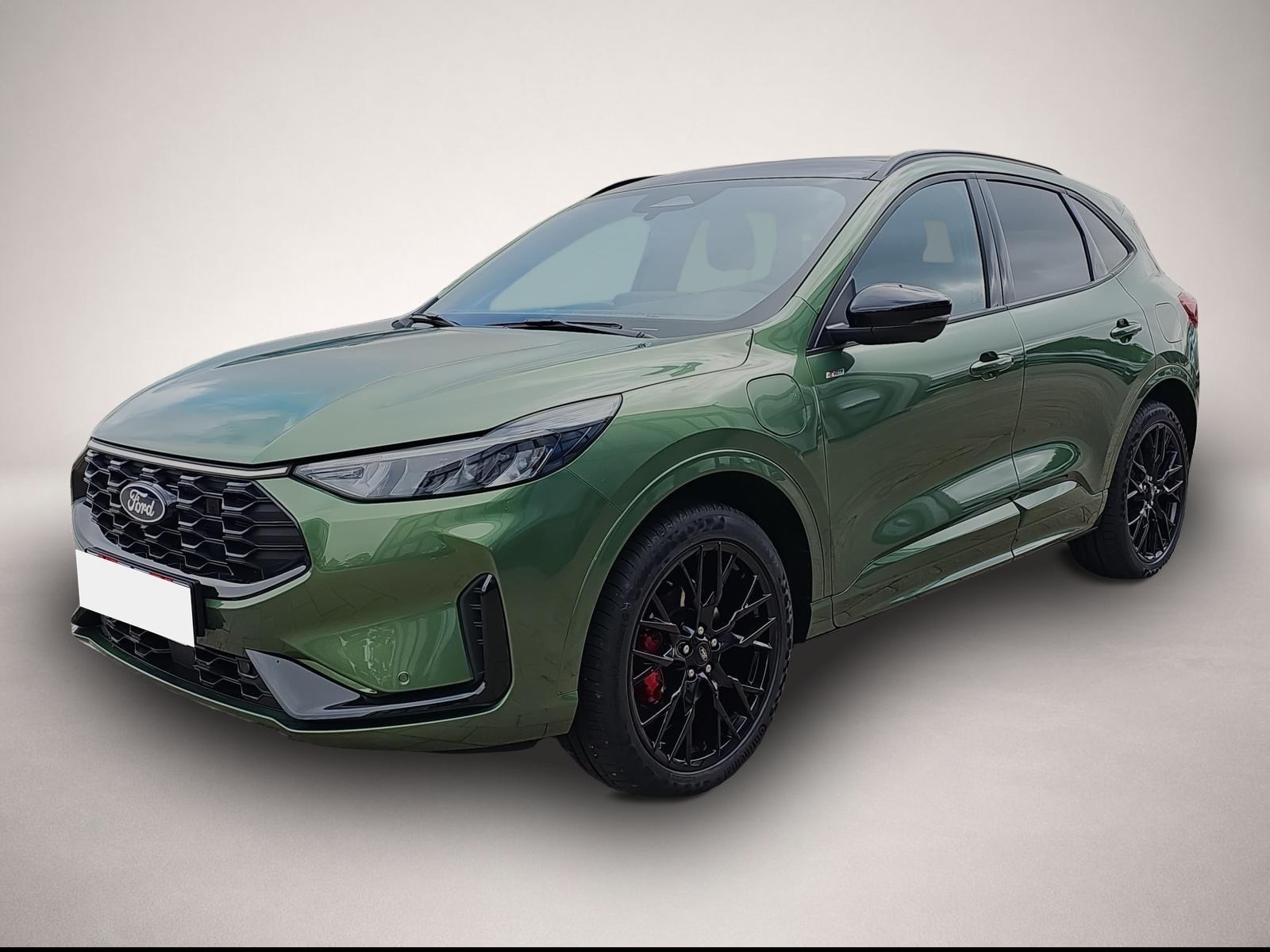 Bild 3 Ford Kuga 2.5 PHEV ST-Line X Styling-Paket Black AHK