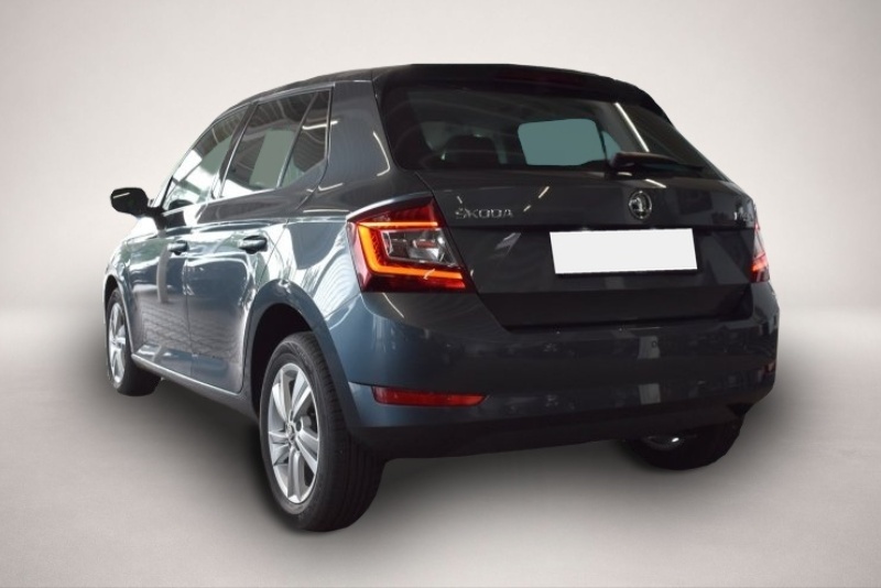 Bild 3 Skoda Fabia 1.0 TSI Style Climatronic Kamera Sitzhzg