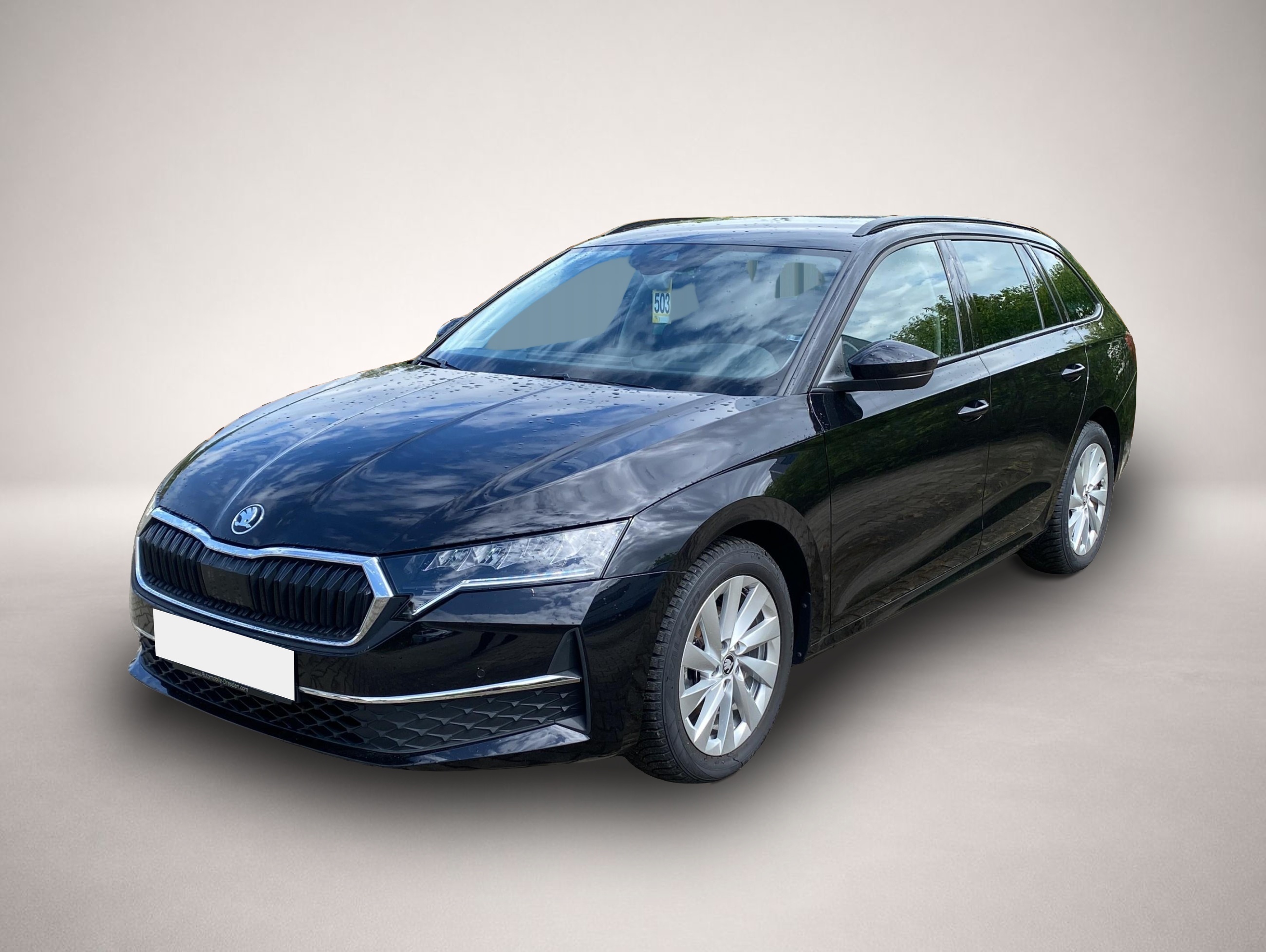 Bild Octavia Skoda