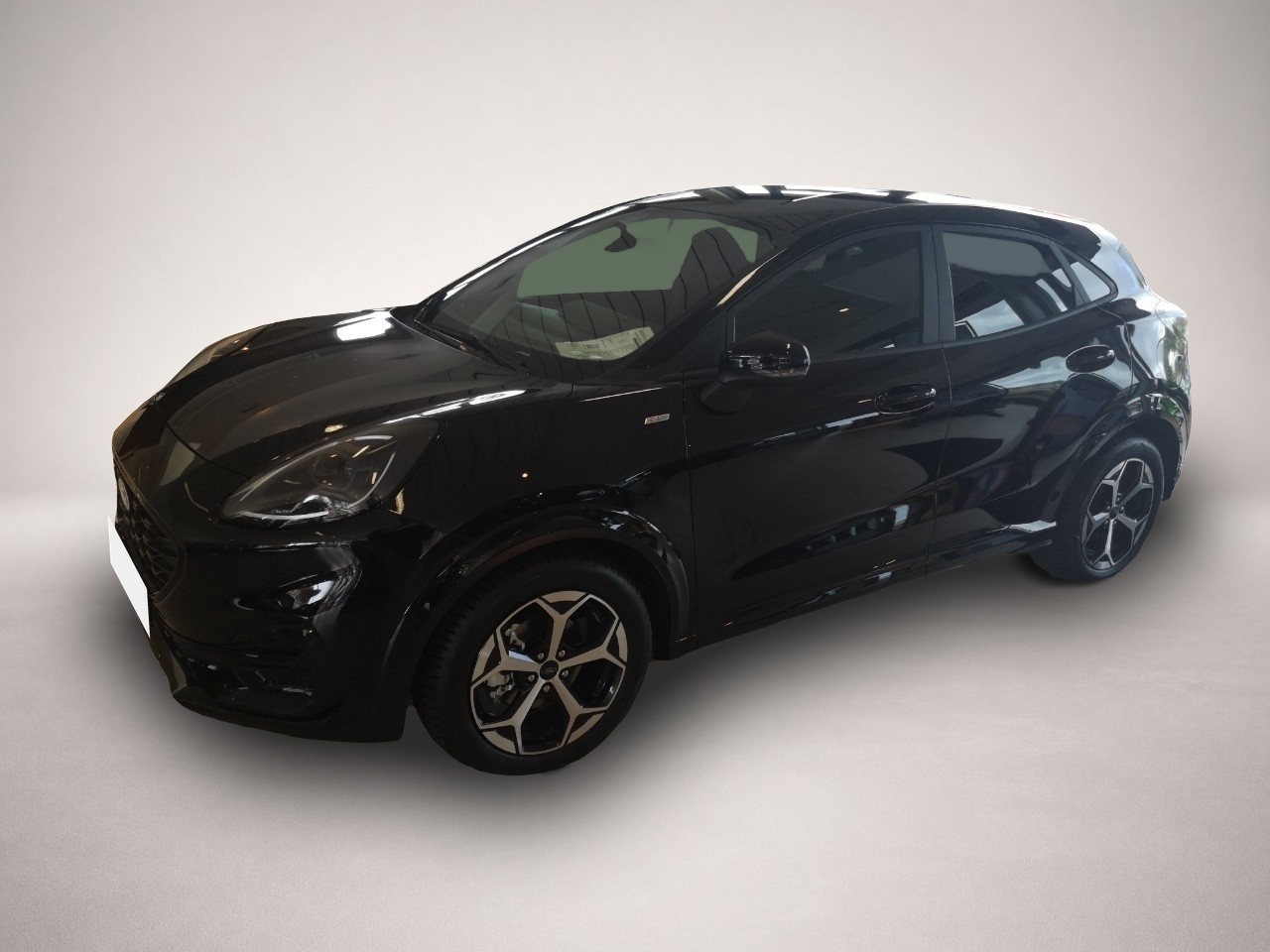 Bild Puma Ford