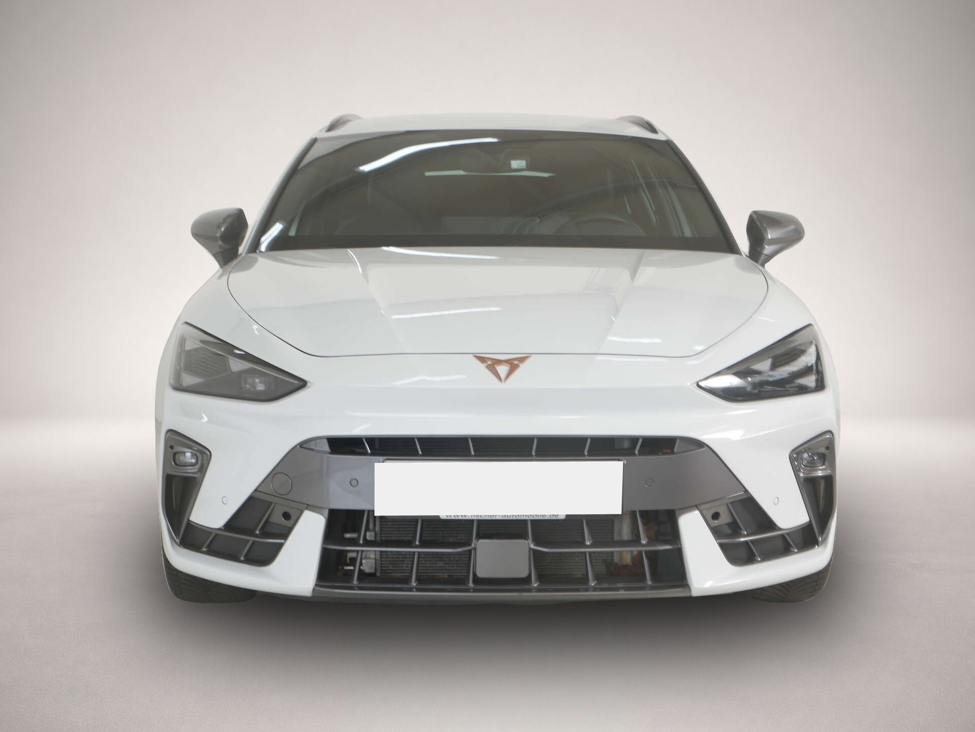 Bild 2 Cupra Leon Sportstourer 2.0 TDI