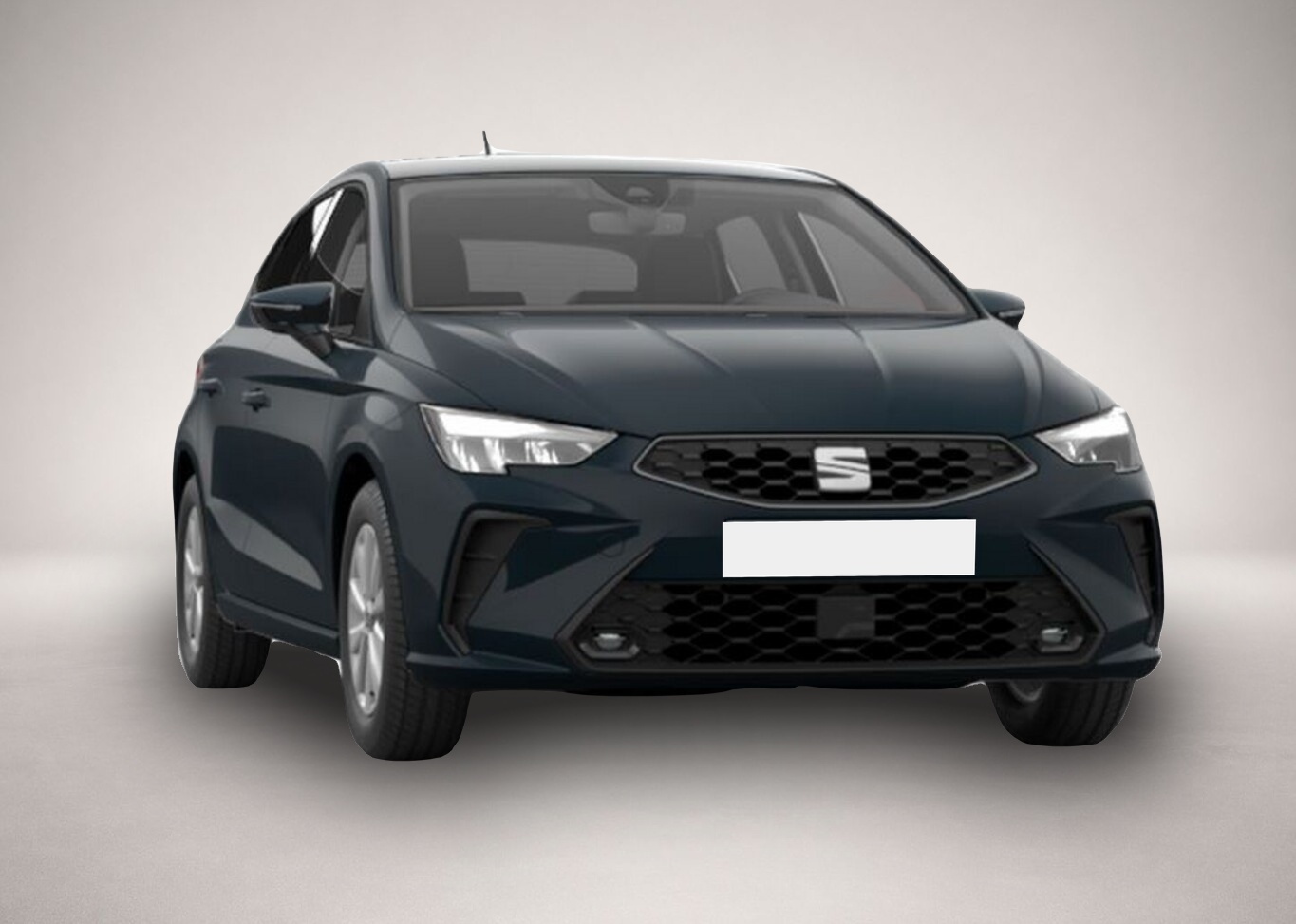 Fotografie 2 des Seat Ibiza NeuMod 5JGarLED FulLink Temp 15