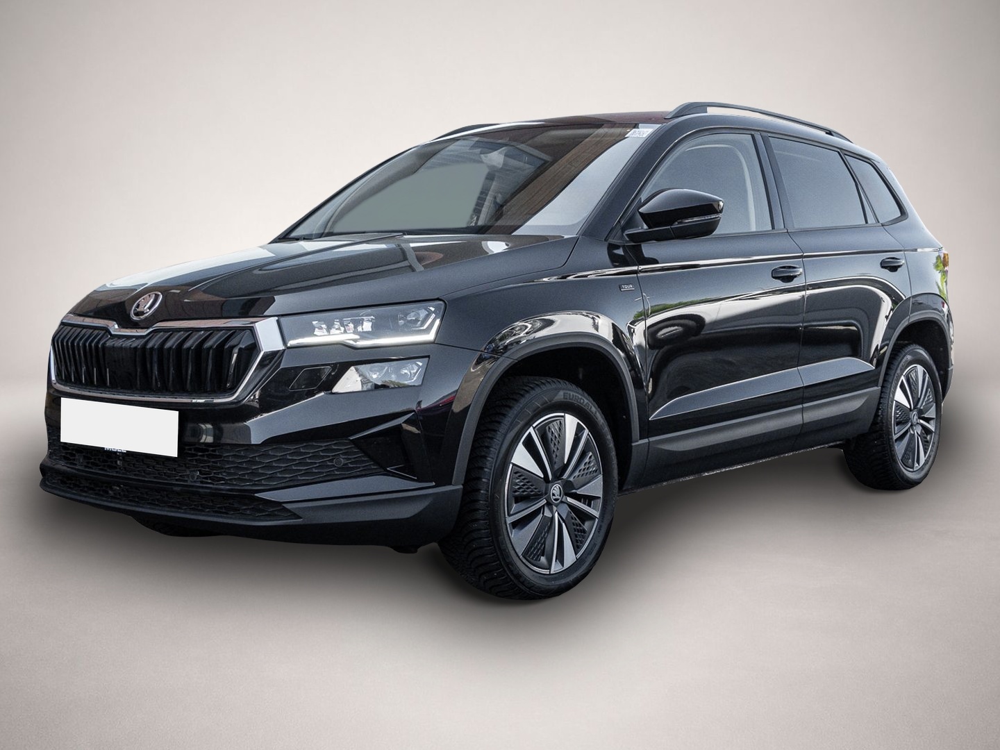 Bild 1 Skoda Karoq 2.0 TDI DSG Selection Tour 2.0 TDI