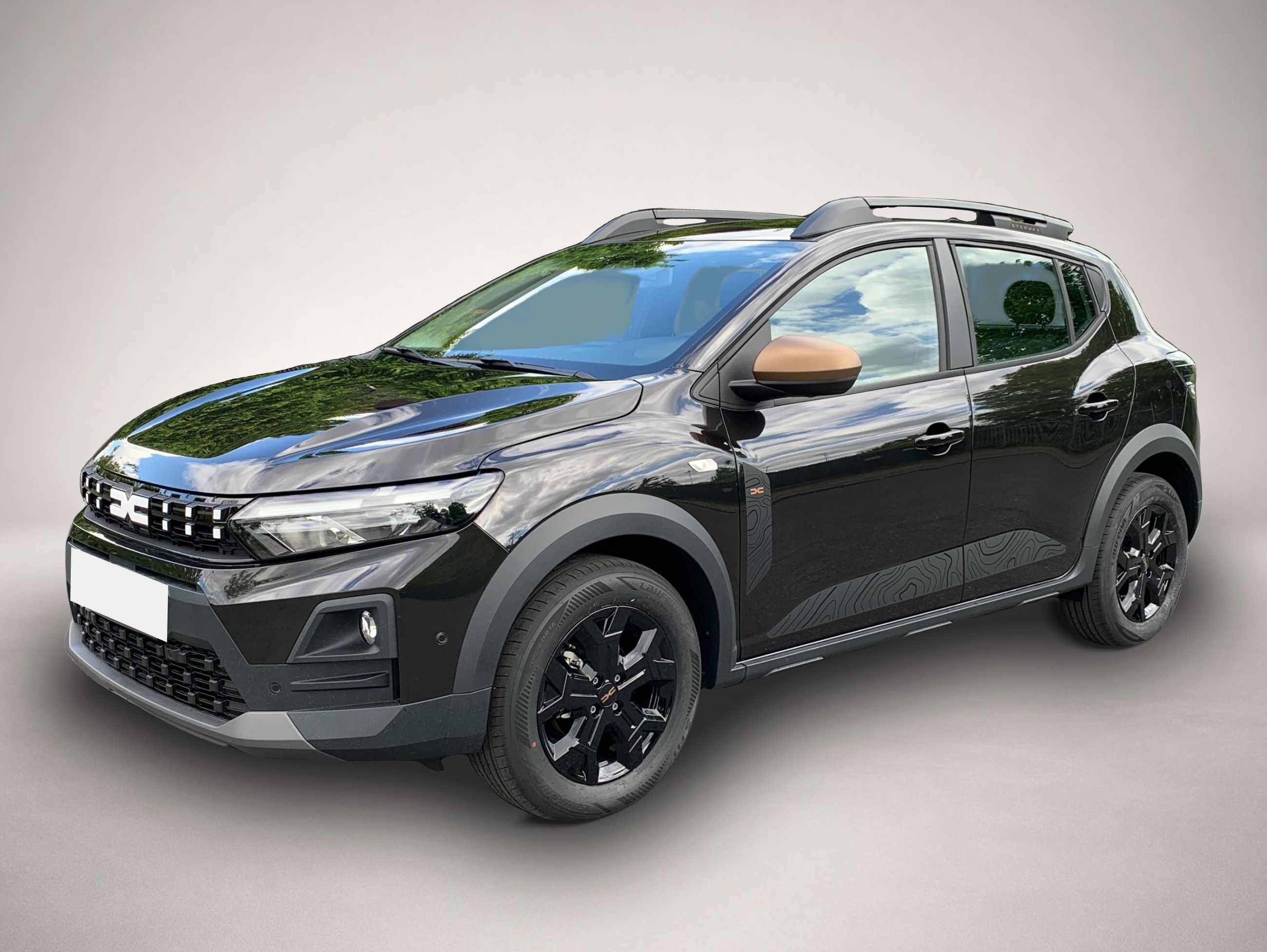 Fotografie 1 des Dacia Sandero Stepway Extreme TCe 110 / Winter / 360°