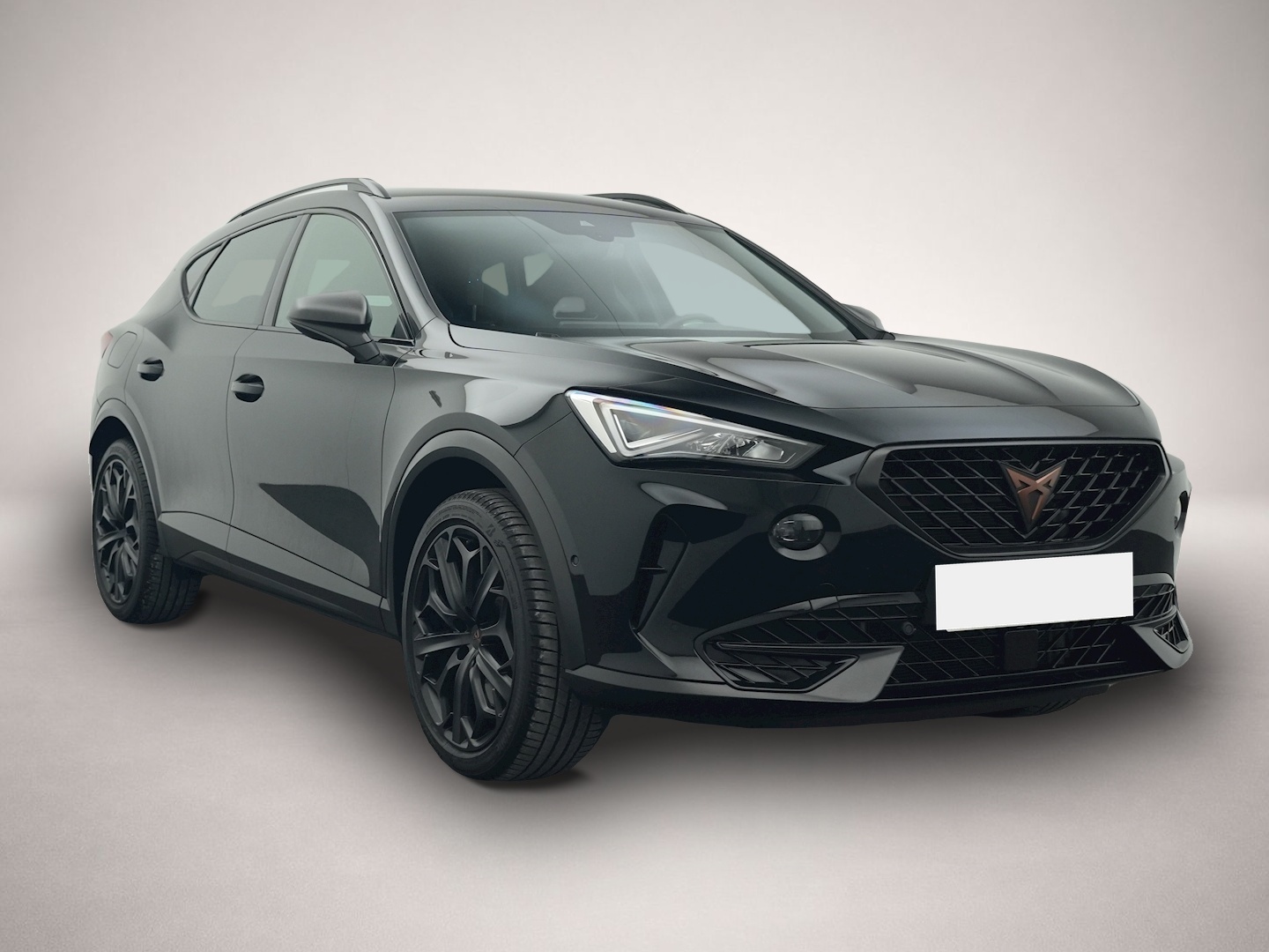 Bild 7 Cupra Formentor 1.4 TSI eHybrid DSG VZ Tribe Edition e