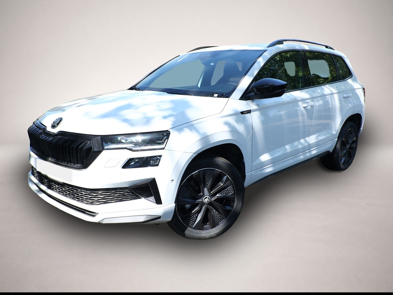 Bild Karoq Skoda