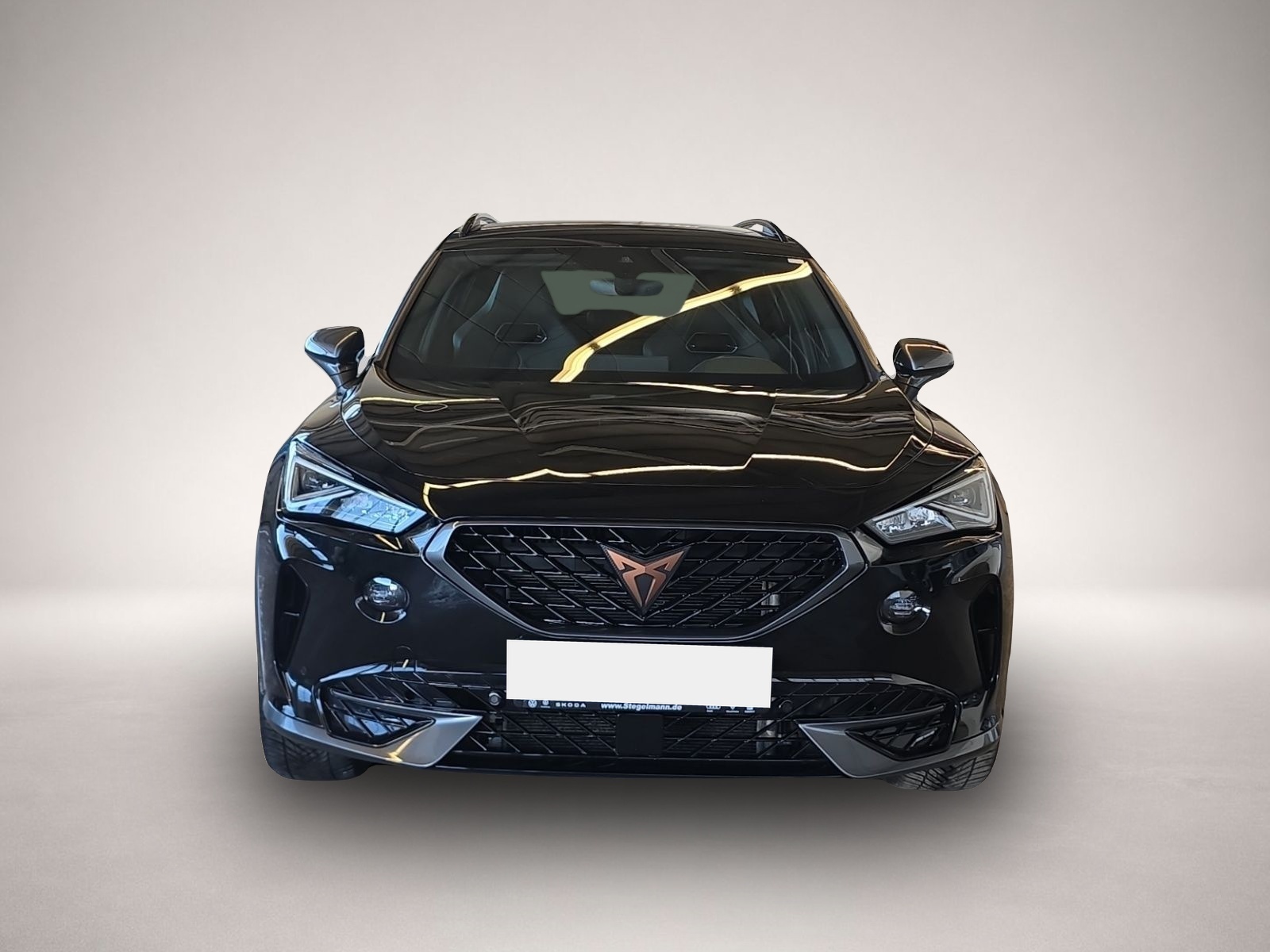 Bild 8 Cupra Formentor 2.0 TSI DSG VZ *LED*AHK*Navi*Kamera*