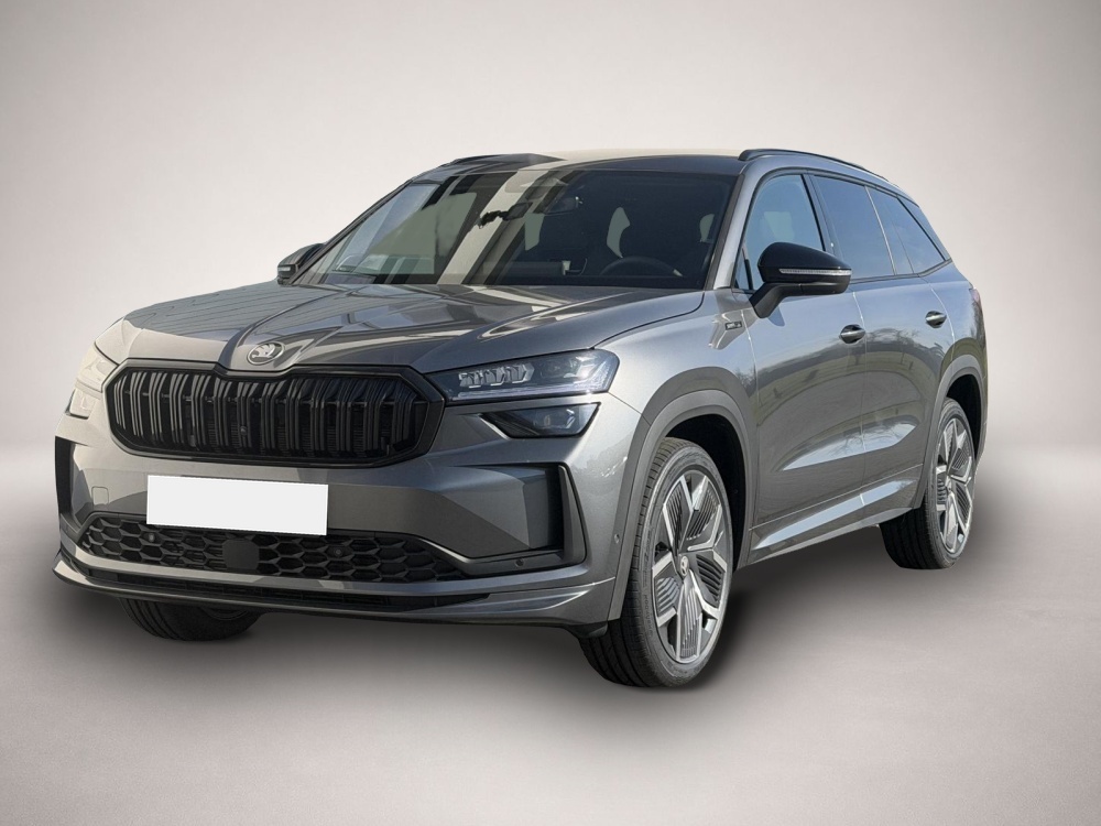 Bild 1 Skoda Kodiaq Sportline 2,0 TDI DSG 4x4 142KW Stdhzg AHK